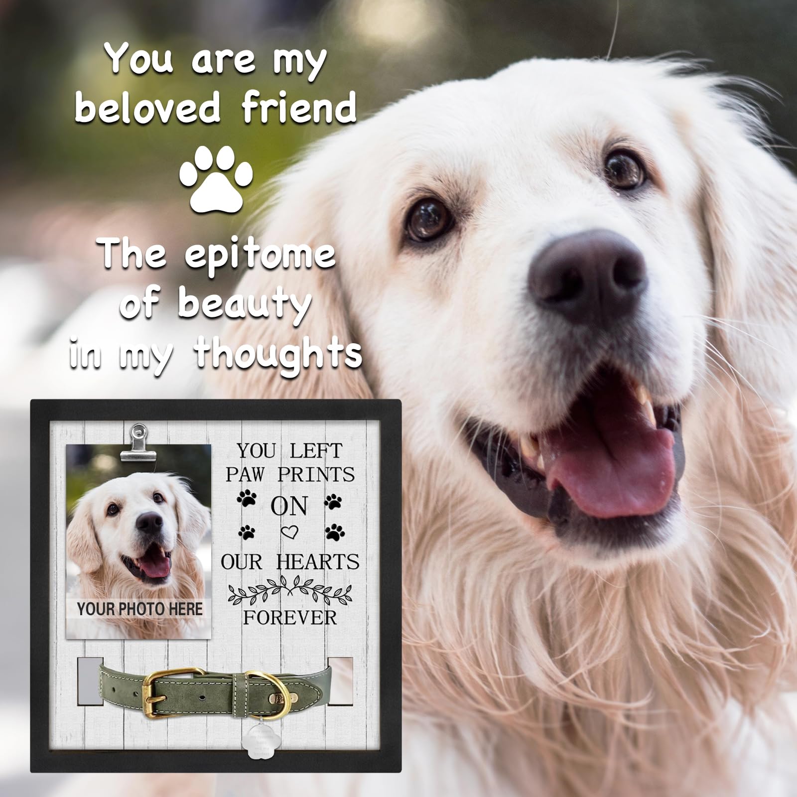 PUREFLY Pet Loss Gift - Memorial Frame for Dog/Cat, "You Left Paw Prints" Sympathy Keepsake