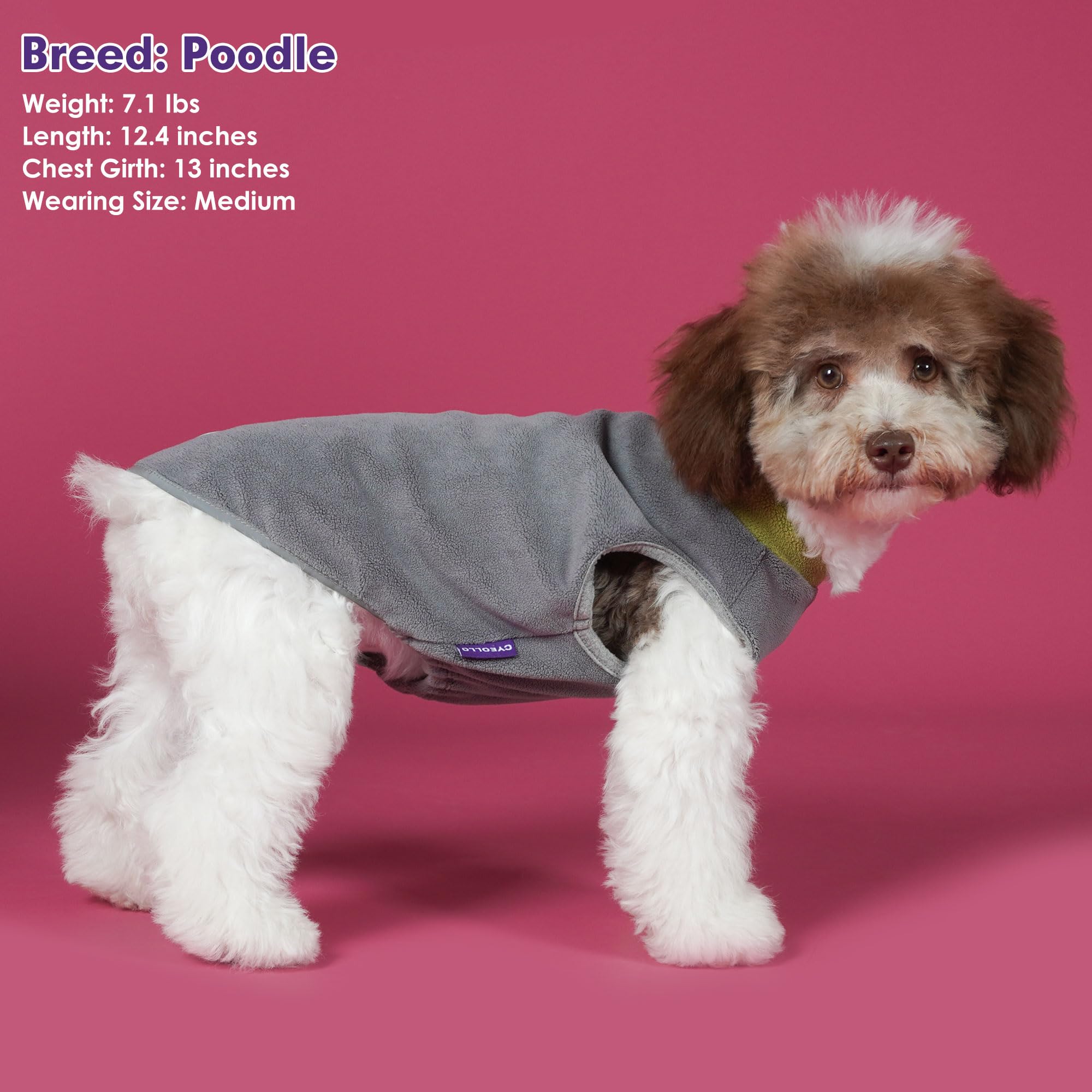 Cyeollo 2 Pack Dog Sweater Fleece Vest Dog Sweatshirt Reflective Lightweight Clothes For Large Dogs Boy Girl Pet Apparel Grass G