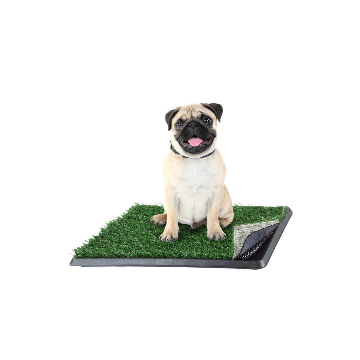 Artificial Grass Puppy Pee Pad For Dogs And Small Pets - 16X20 Reusable 4-Layer Training Potty Pad With Tray - Dog Housebreaking Supplies By Petmaker