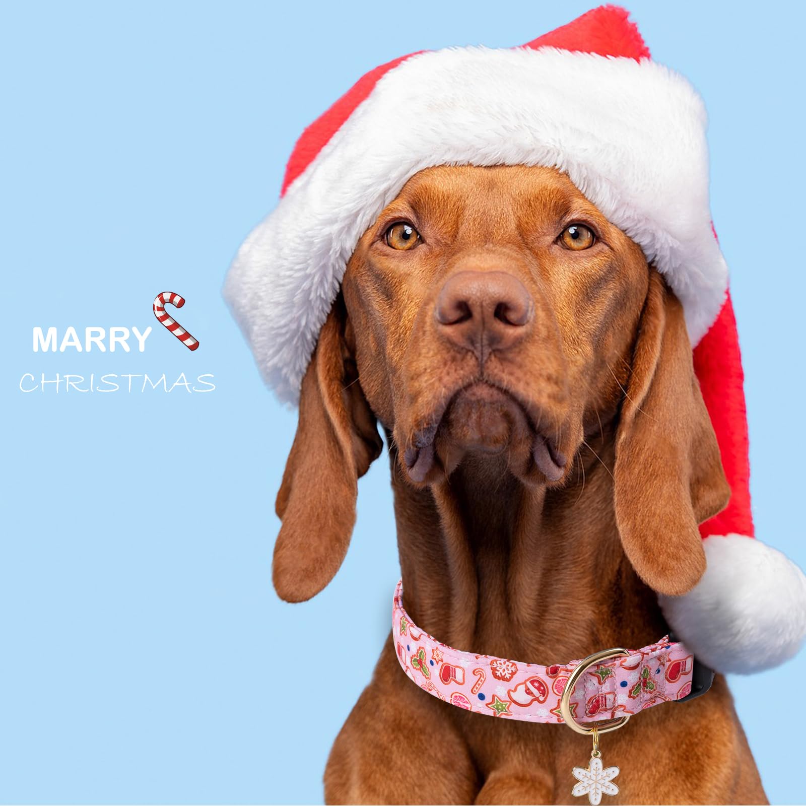 Faygarsle Pink Dog Collar Christmas Design Christmas Theme Pattern For Small Medium Large Dogs Collar Cute Stylish Girl Boy Christmas Dog Collar Xs