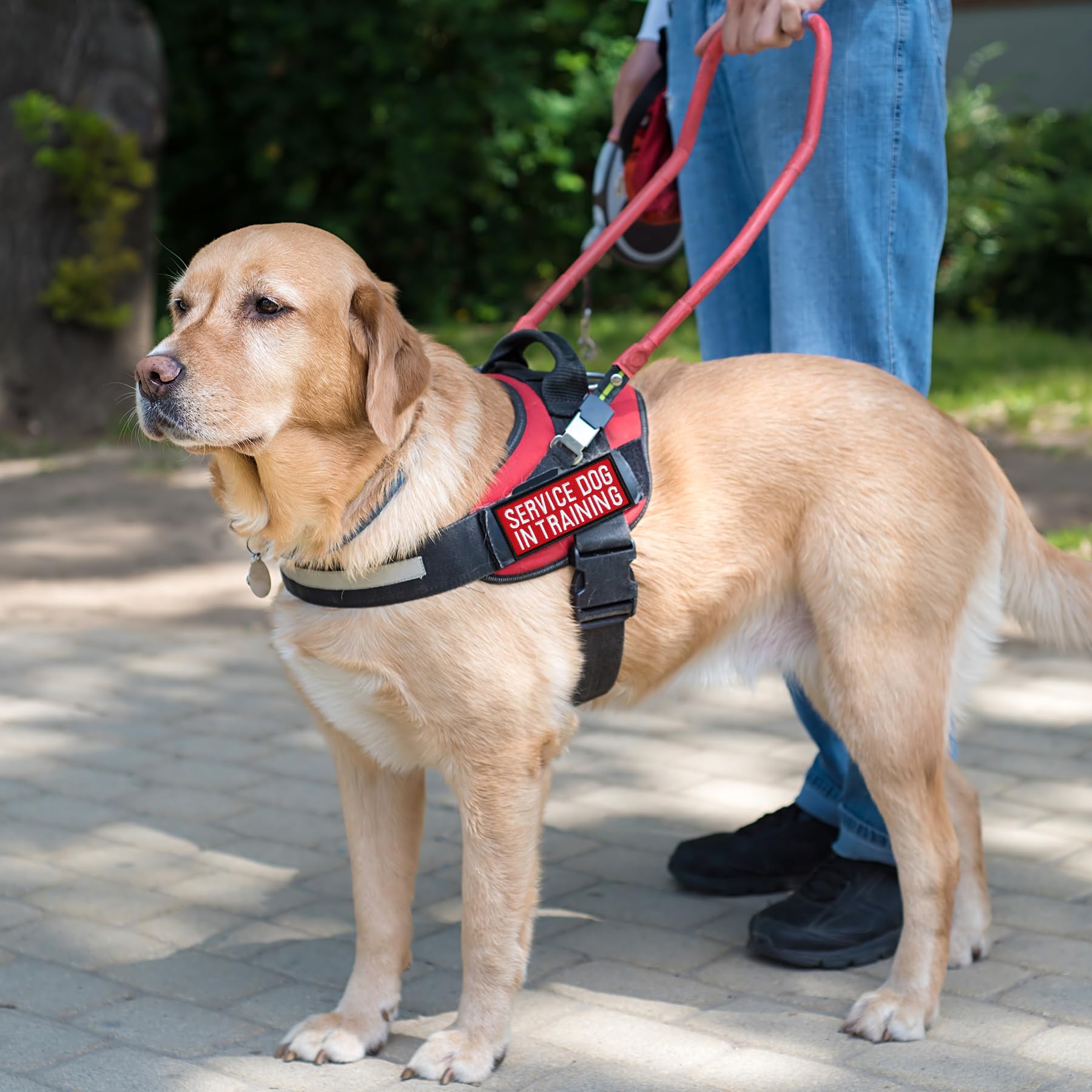 Pistha 12 Pieces Removable Tactical Dog Harness Service Dog Vest Patches Do Not Pet In Training Dog Patches And Emotional Suppor