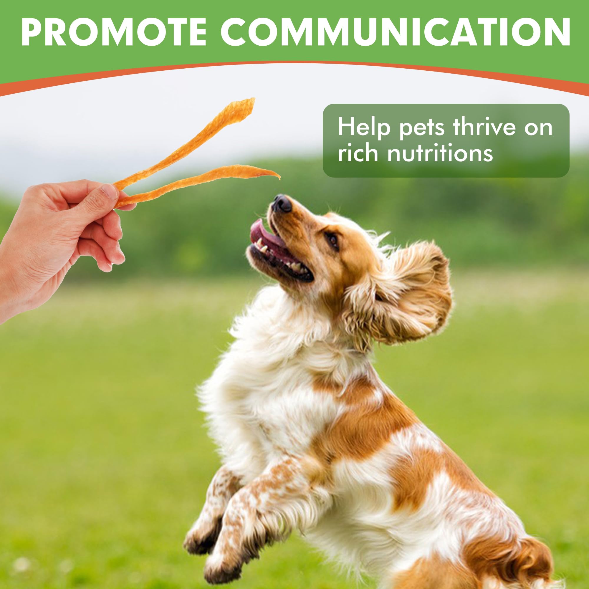 MON2SUN Dog Treats, Chicken Jerky Strips for Small Dogs, High Protein & Grain Free Snacks, Easy to Digest Training Treats (Chick