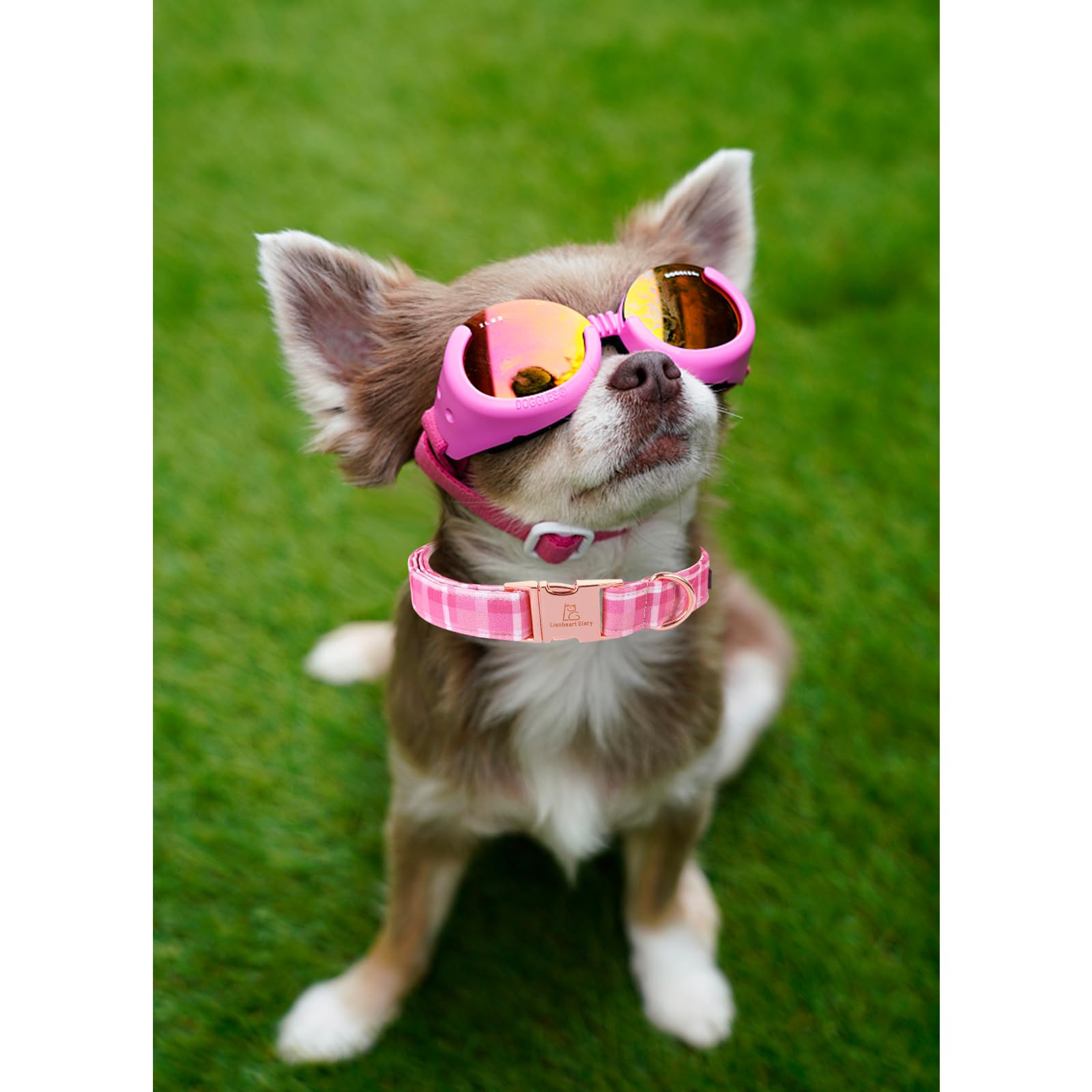 Lionheart Glory Valentine'S Day Collar, Pink Plaid Dog Collar For X-Small Cute Dog Collars Spring Female Pet Gift Adjustable Hea