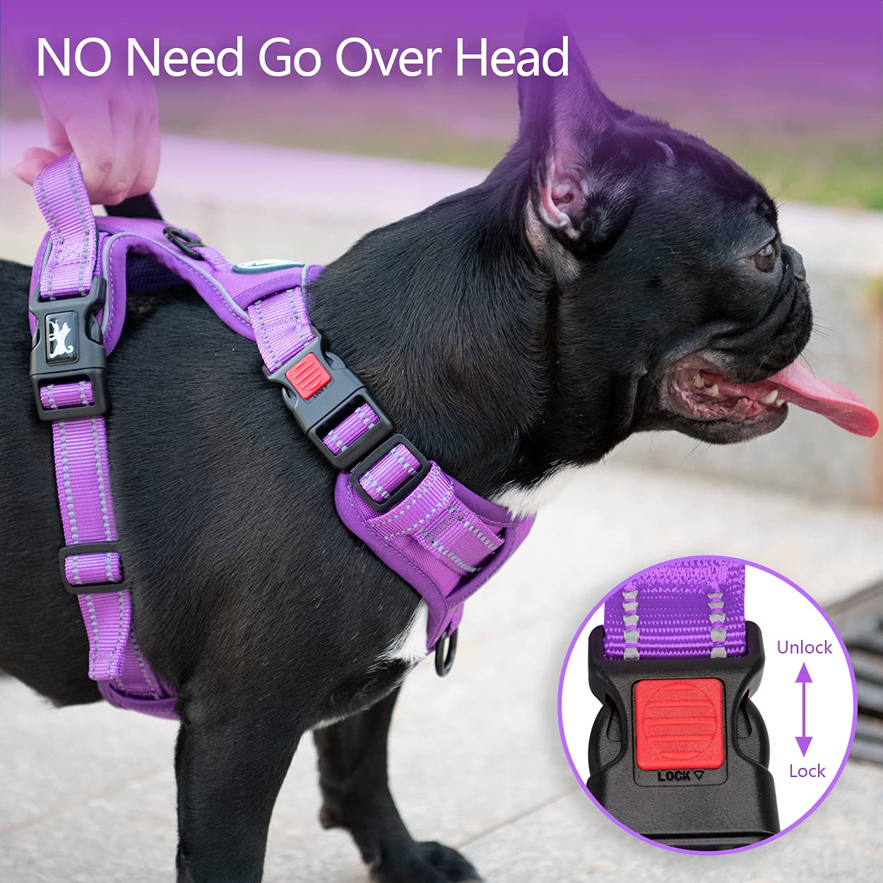 Poypet No Pull Dog Harness, No Choke Reflective Dog Vest, Adjustable Pet Harnesses With Easy Control Padded Handle For Small Medium Large Dogs(Purple Matching Trim,S)