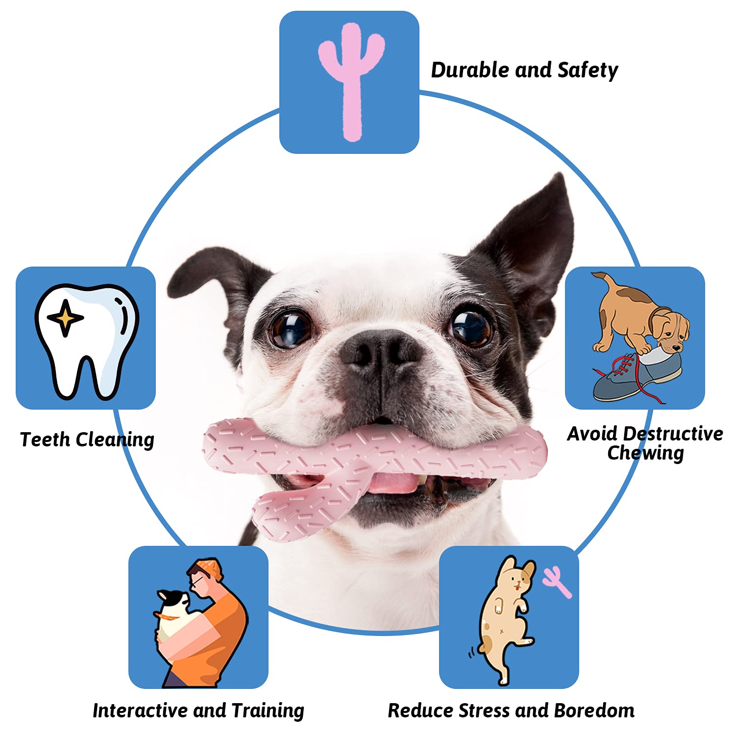 Mewajump Dog Chew Toys, Tough Rubber Dog Toys For Aggressive Chewers, Cactus Dog Toy For Training And Cleaning Teeth, Pink Cute