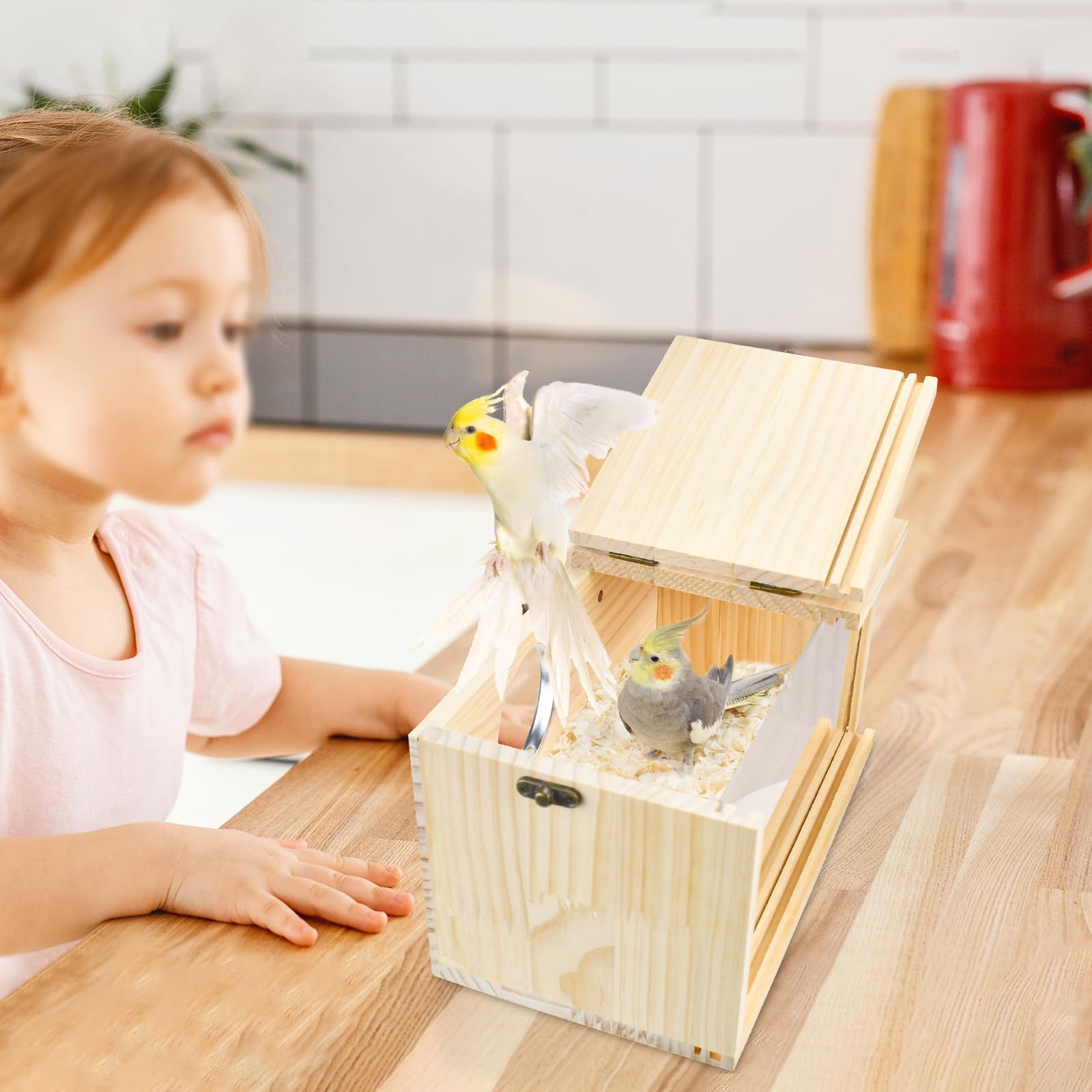 ShuRung Parrot Nesting Box Cockatiel Nesting Box Bird Breeding Box House Handcrafted Wooden Acrylic Transparent Bird Box with De