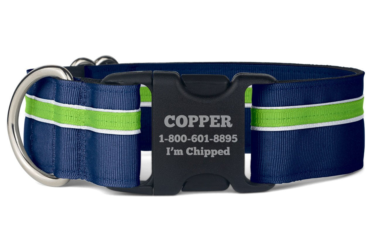 If It Barks Personalized 1.5 Striped Dog Collar - Engraved Name - Custom Size, Finley