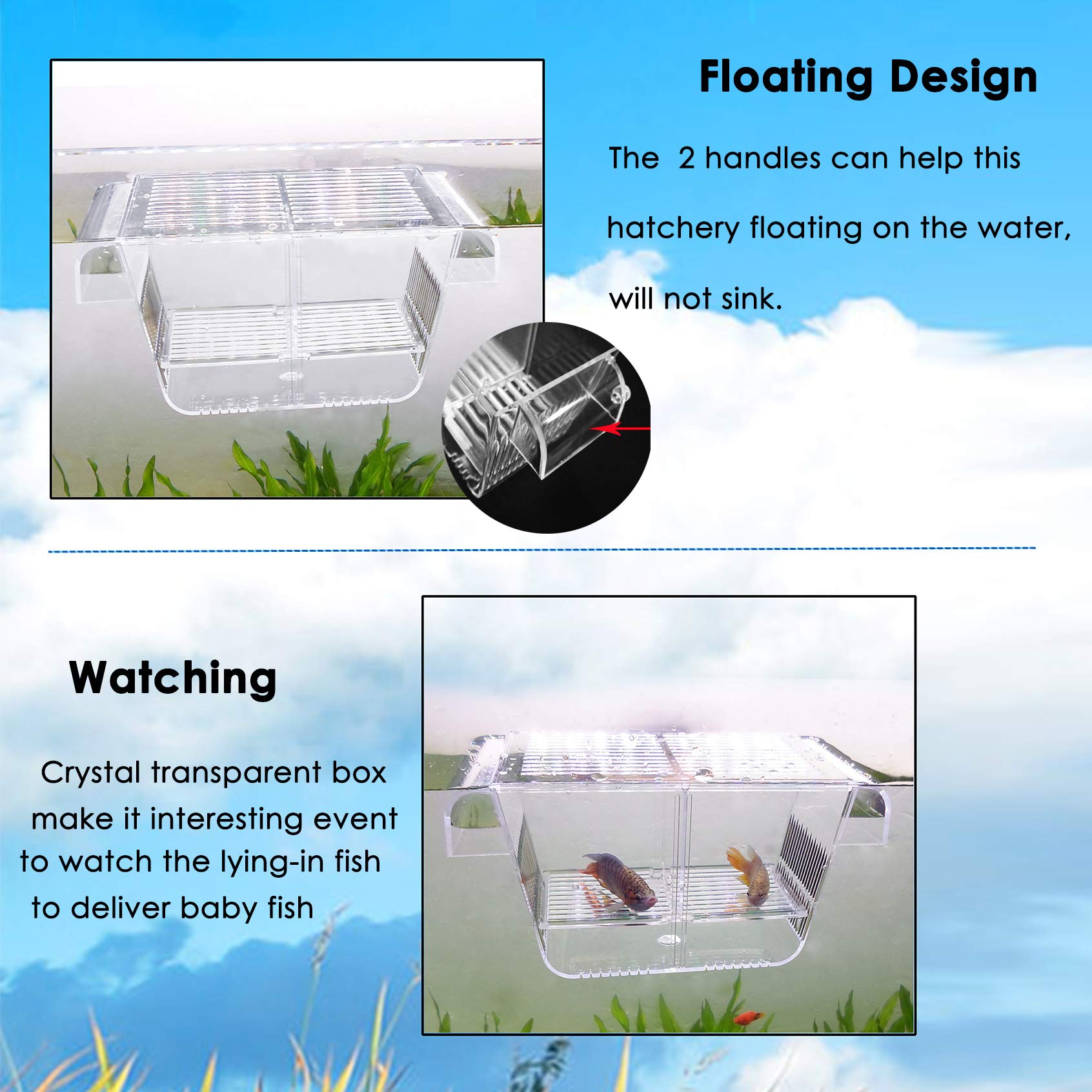 Fish Breeder Box Fish Hatchery Floating Fish Breeding Box with Removable Grating Perfect Fish Tank Divider for Agreesive Injured