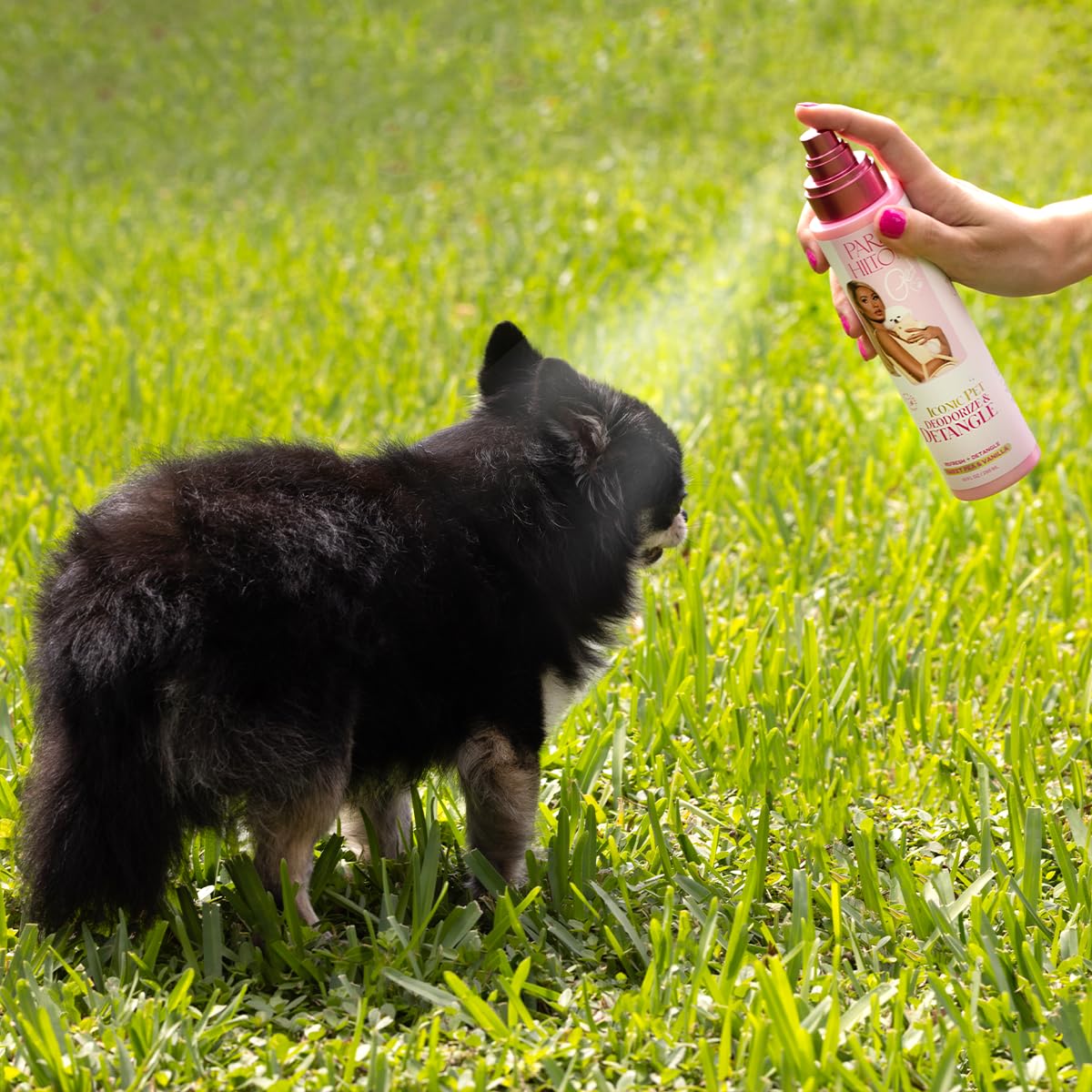 Paris Hilton Dog Perfume, Deodorizer & Detangler | Odor Neutralizing With Sweet Floral Apple Blossom Scent - Sulfate-Free, Vegan