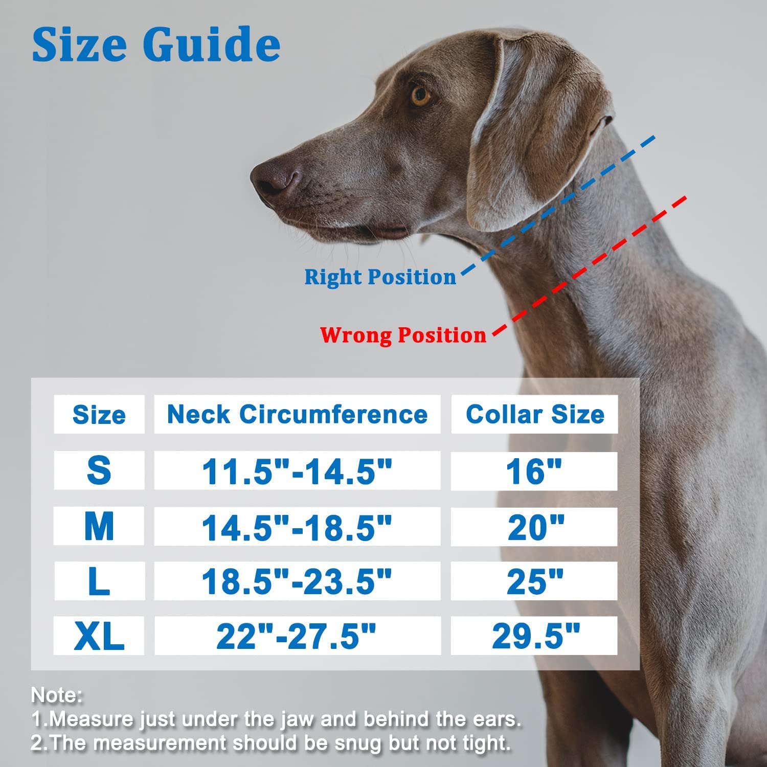 Martingale Collar For Dogs, No Pull Dog Collar For Small Medium Large Dogs, Dog Walking Collar For Pulling, Anti Pull Dog Martingale Training Collars With Buckle (M, Black)