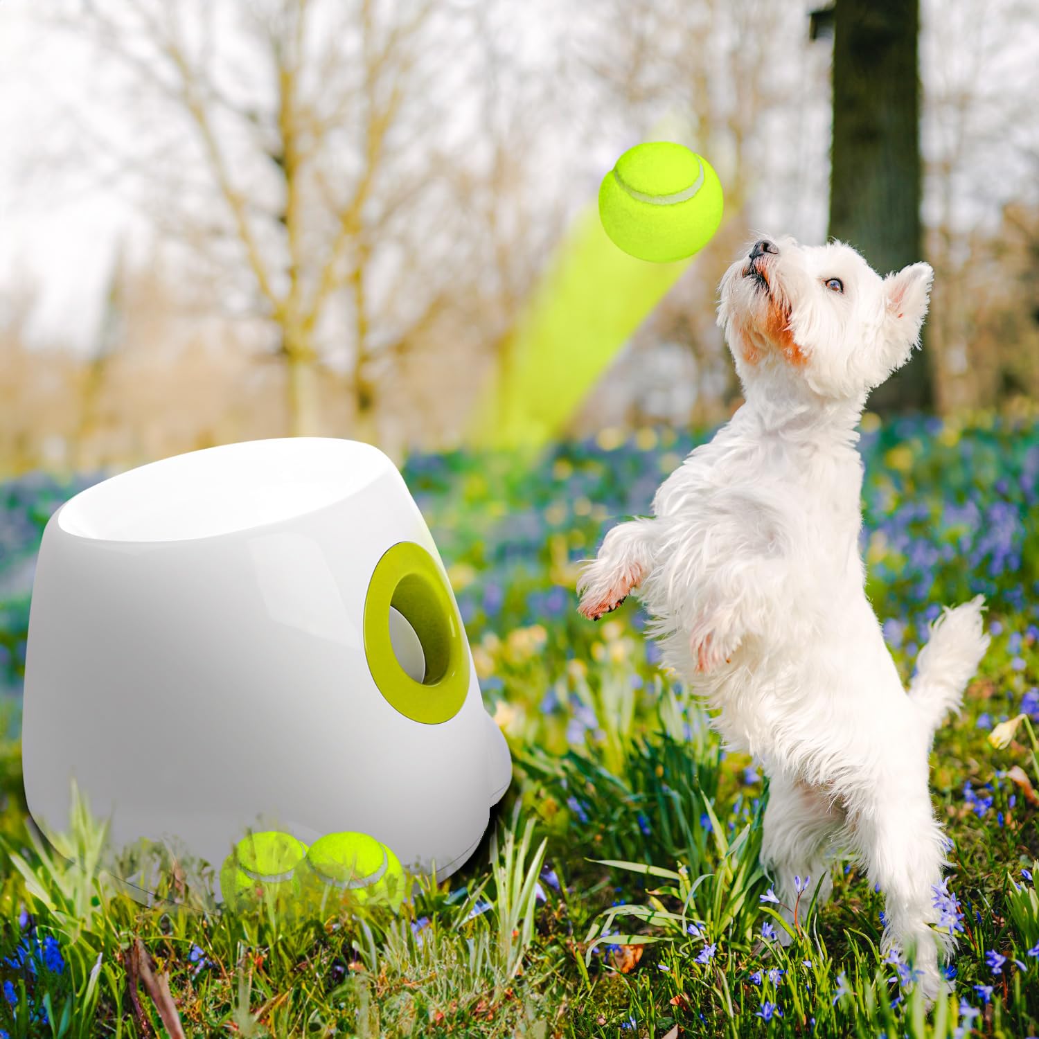 Afp Automatic Ball Launcher For Dogs Interactive Puppy Pet Ball Indoor Thrower Fetch Machine For Small And Medium Size Dogs, 3 Balls Included (2 Inch)