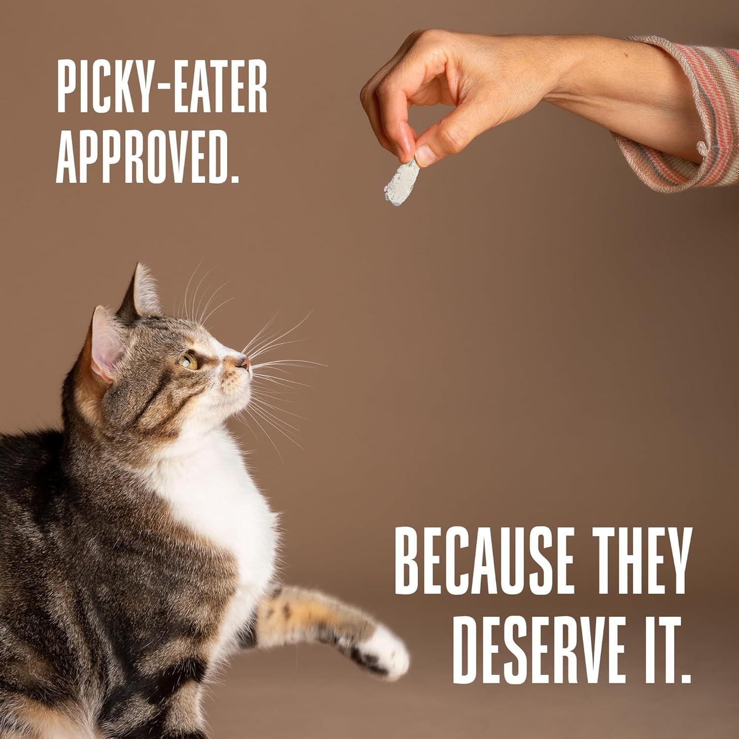 Whole Life Cat Just One Chicken Freeze Dried Cat Treats - Human Grade High Protein Food, Healthy Training Snacks, Freeze Dried C