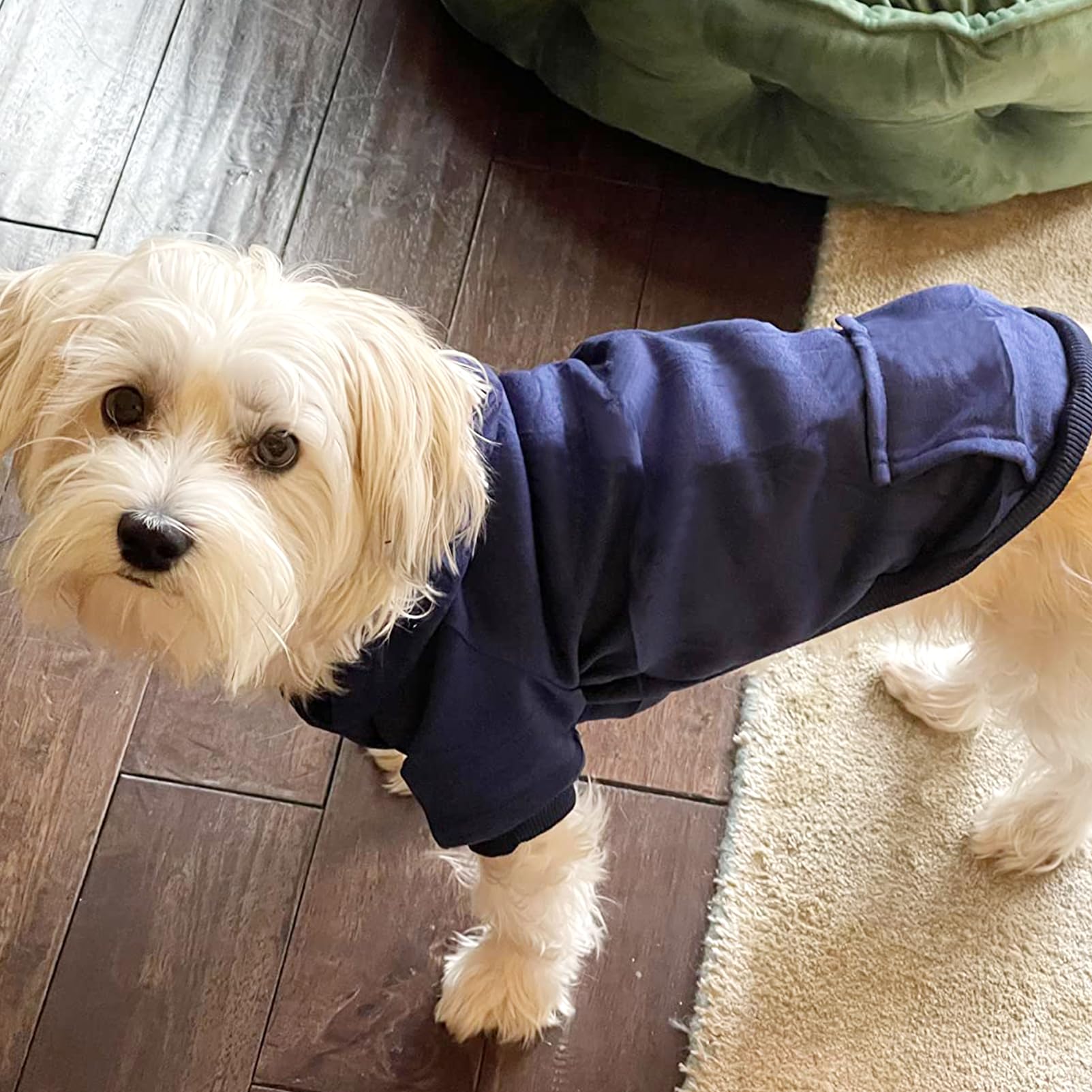 Jecikelon Winter Dog Hoodie Sweatshirts With Pockets Warm Dog Clothes For Small Dogs Chihuahua Coat Clothing Puppy Cat Custume (Medium, Navy)