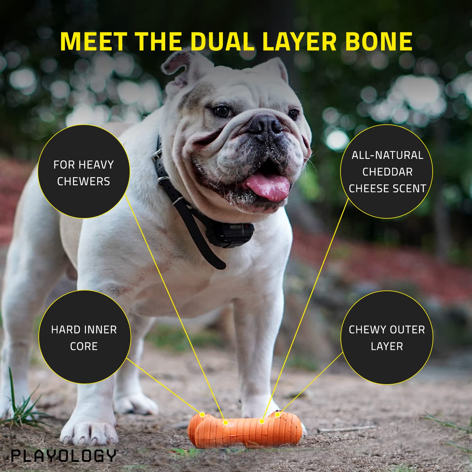 Playology Dual Layer Bone Toy - Engaging All Natural Cheddar Cheese Scented Dog Toy, Large - Chew, Toss, Fetch, And Play!