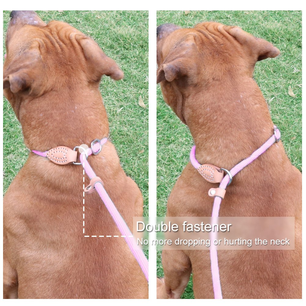 Grand Line Slip Lead Dog Leash, 5Ft Reflective Slip Rope, Puppy Training Walking Controlling Lead, Slip Collar Pet Leash For Small, Medium, Large Dogs (Pink, Large-3/5In X 5Ft)