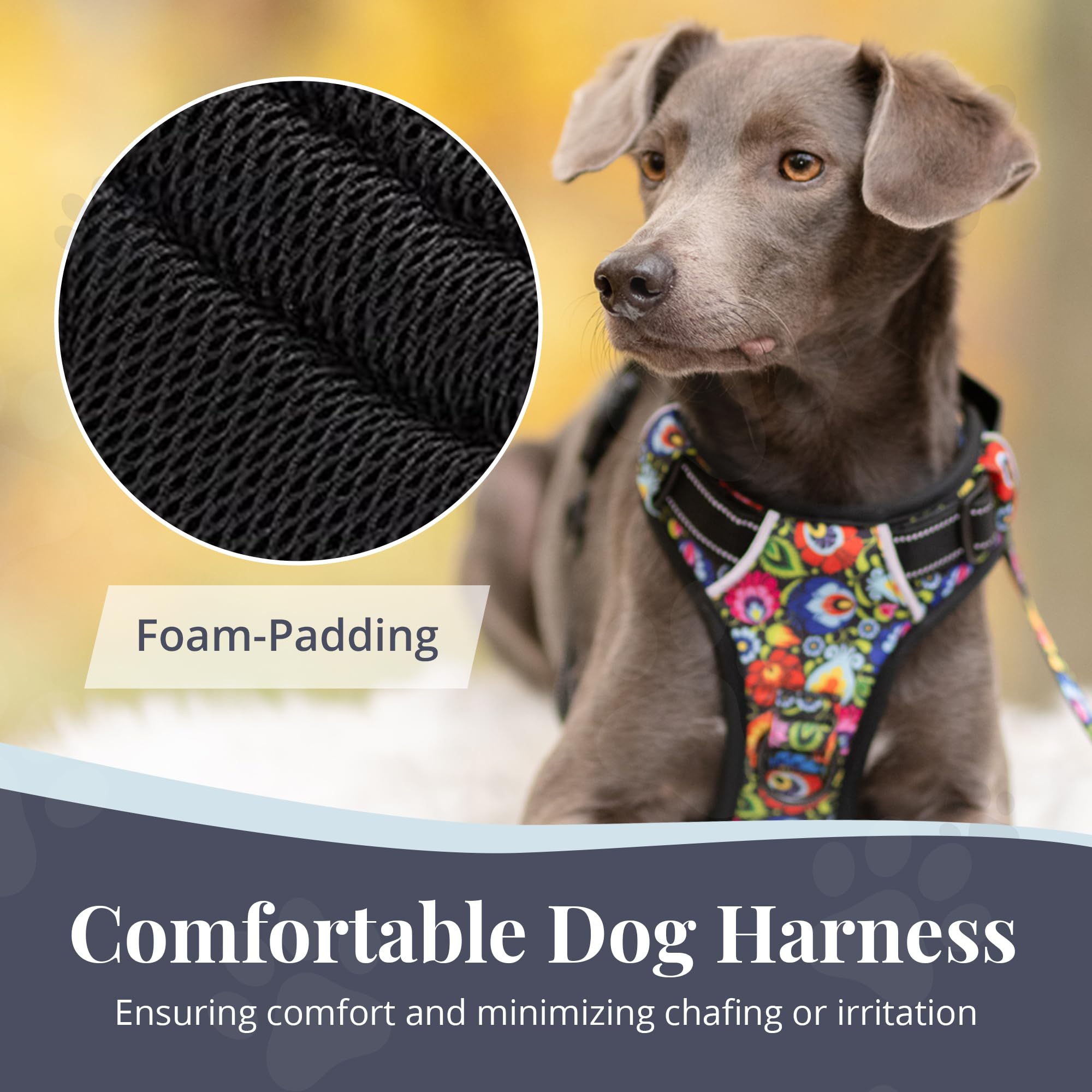 Lucky Love Dog No Pull Harness, Adjustable Medium Primrose Floral, Nylon, Vivid Dog Harness Vest for Small Medium Large Dogs