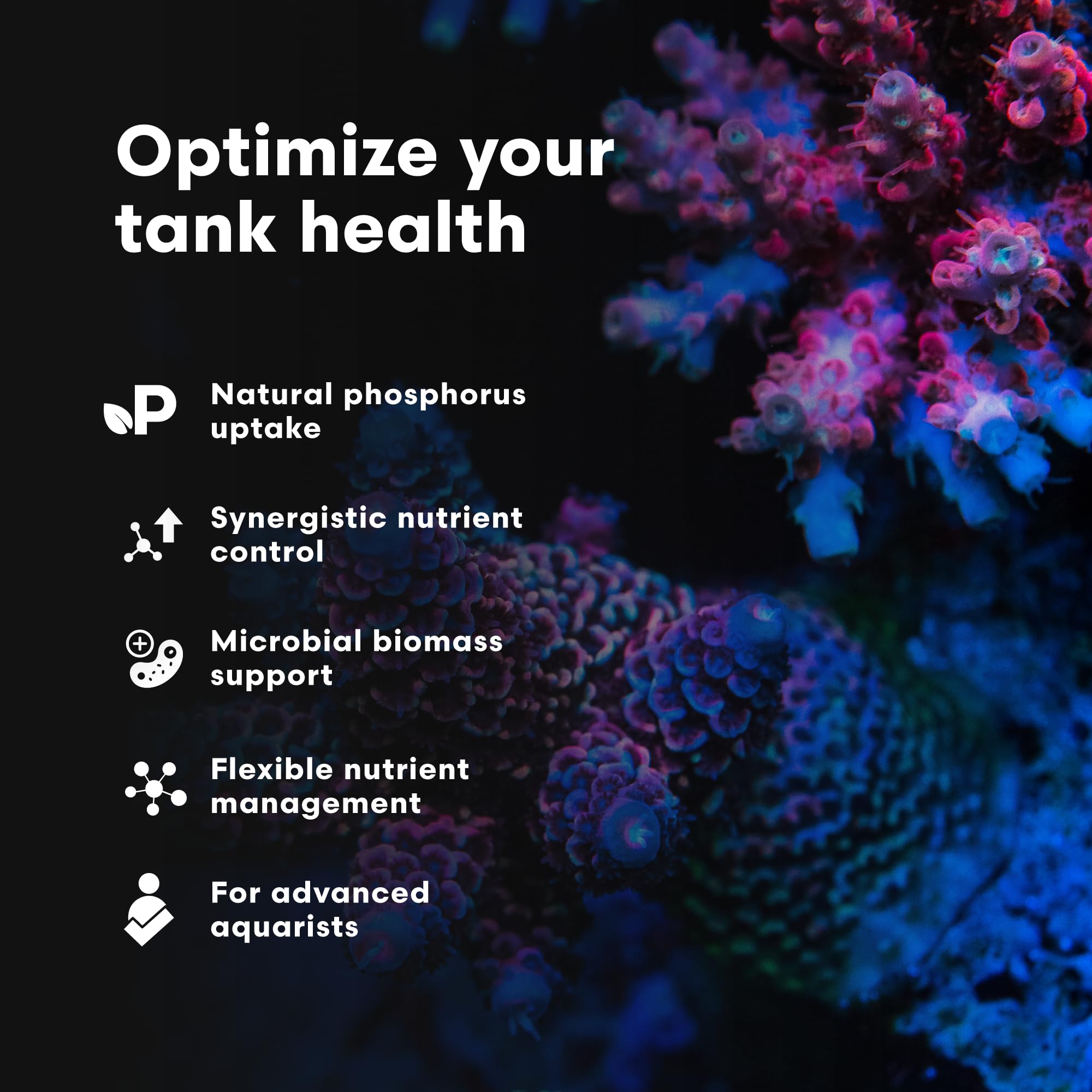 Brightwell Aquatics NeoNitro Balanced Nitrogen Supplement - Reef Nutrient Enhancer for Ultra-Low Nutrient Systems - Aquarium Wat