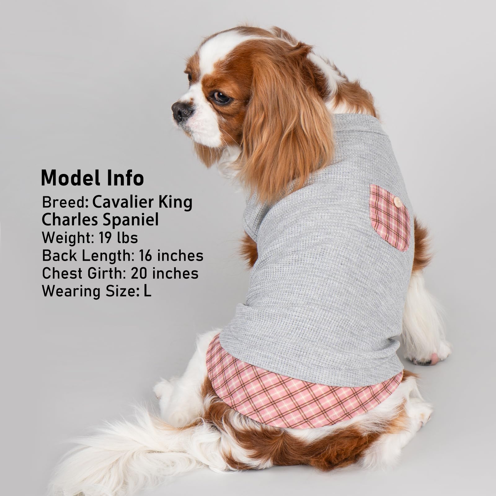 Kyeese Waffle Dog Shirts For Small Dogs Soft Stretchy T-Shirts Lightweight Tank Top Sleeveless Style Breathable Cat Tee Puppy Ou