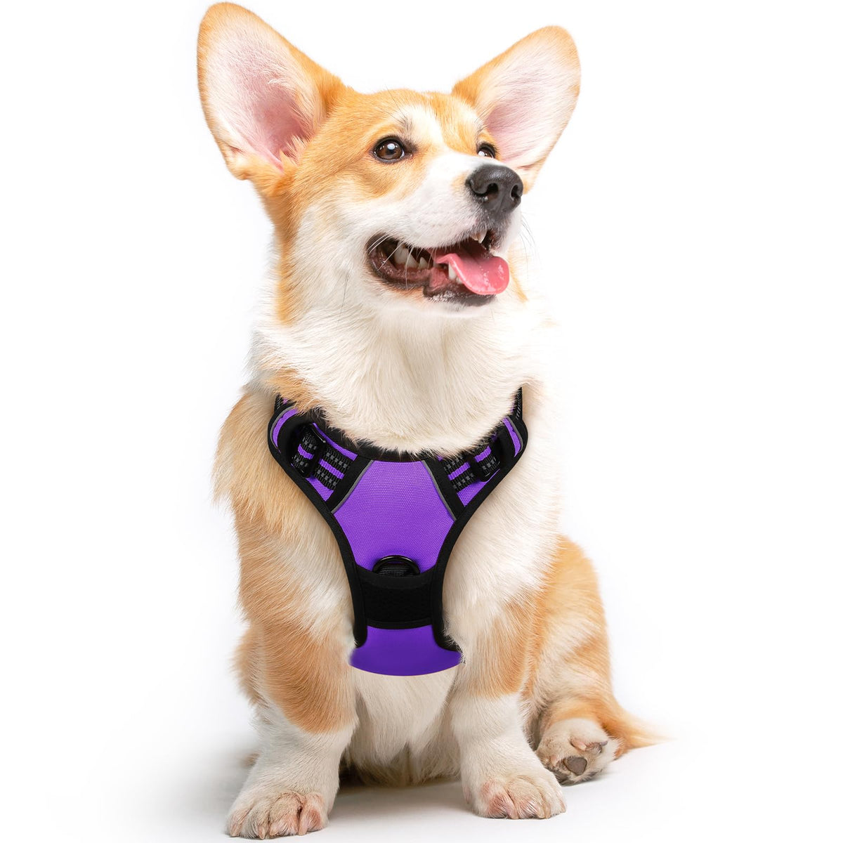 Eagloo Dog Harness Medium Sized Dog, No Pull Service Vest With Reflective Strips And Control Handle, Adjustable And Comfortable For Easy Walking, No Choke Pet Harness With 2 Metal Rings, Purple, M