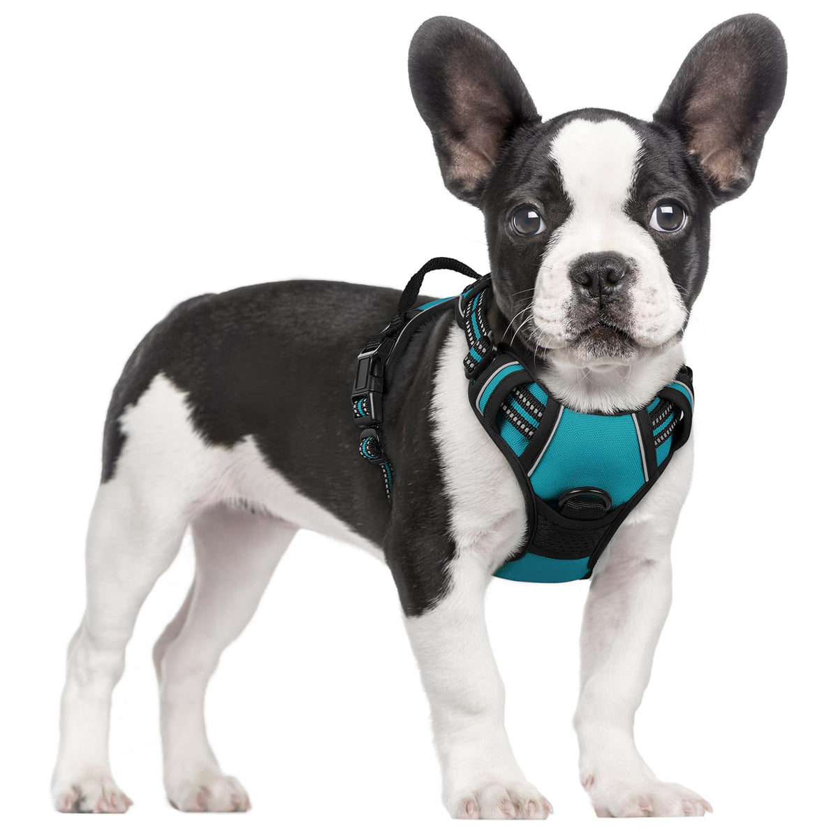 Rabbitgoo Dog Harness No Pull With 2 Leash Clips, Adjustable Soft Padded, Reflective Oxford No Choke Pet Vest With Easy Control Handle For Small Dogs, Teal, S