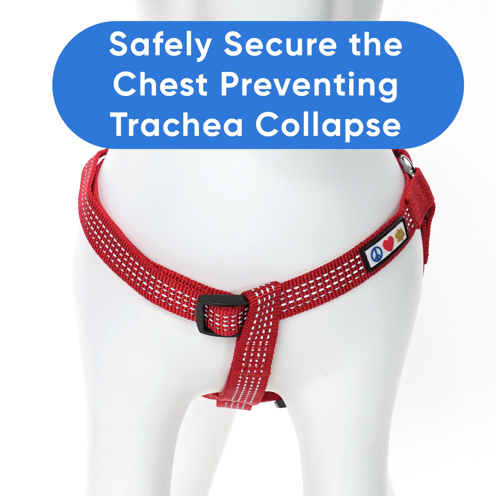 Pawtitas Dog Harness Small Sized Dog Red Dog Harness Step in from a Senior Dog to a Puppy Harness Adjustable Reflective Dog Harn