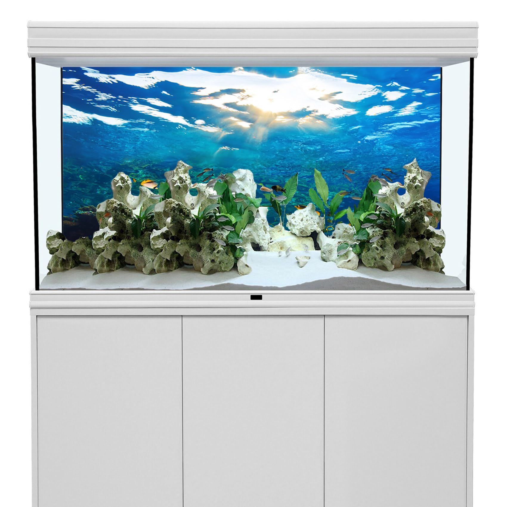 YongFoto Ocean Theme Fish Tank Background 72x18 inch Seaweed Coral Reef Rock Seafloor Tropical Fish Underwater Sea World Polyest