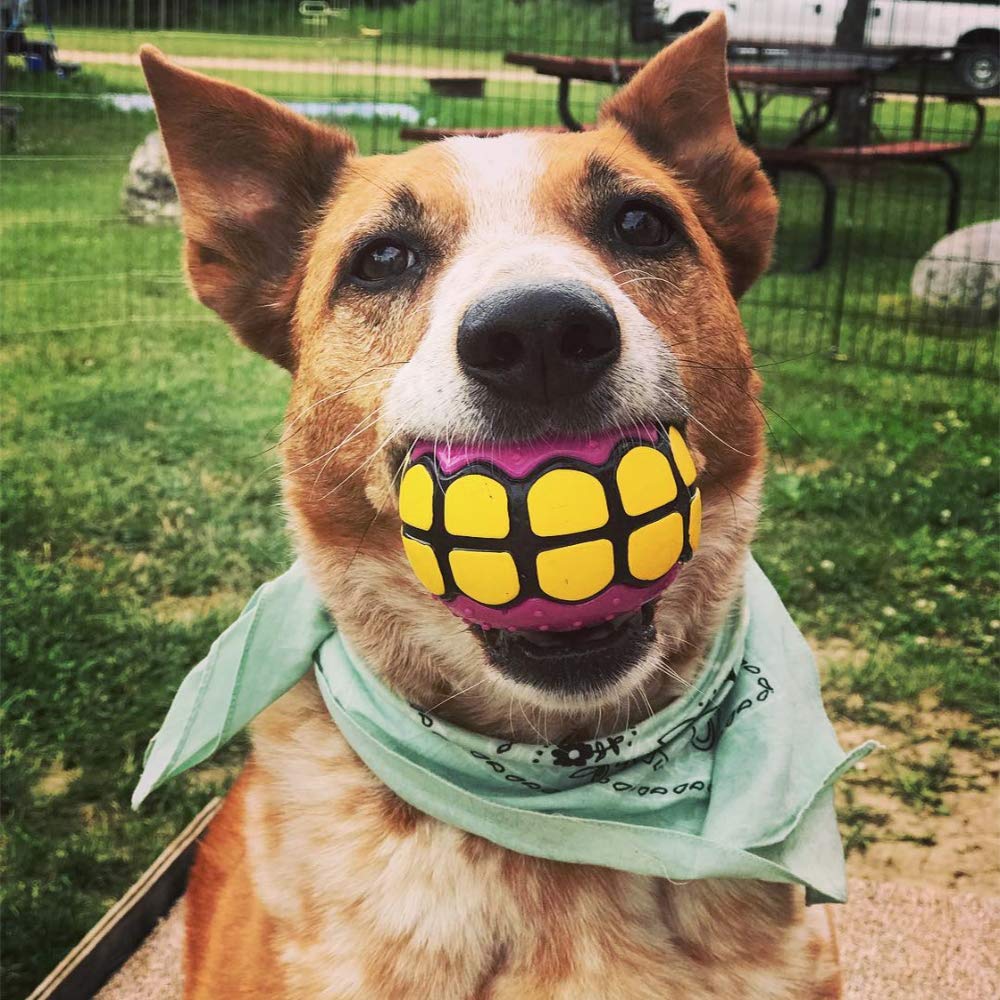 Dawg Grillz Dog Balls Toys - Squeaky Fetch Rubber Funny Ball Gifts For Large Medium Dogs (Pink Yellow)