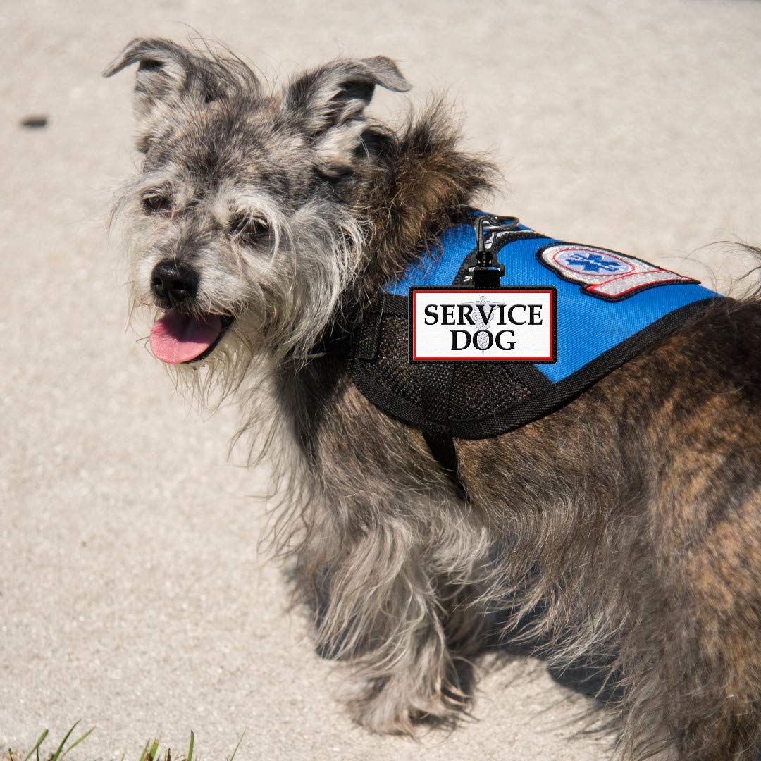 Service Dog Id Patch Tag - Clips To Vest, Harness, Collar, Leash, Or Carrier - Includes 5 Law Handout Cards