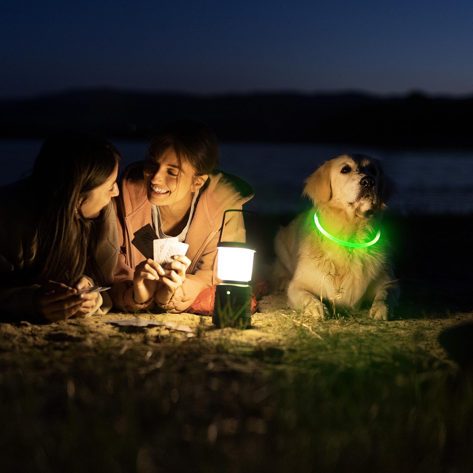 Higo Led Dog Collar, Usb Rechargeable Light Up Dog Collars, Diy Flashing Dog Necklaces For Dog Walking At Night (Green)