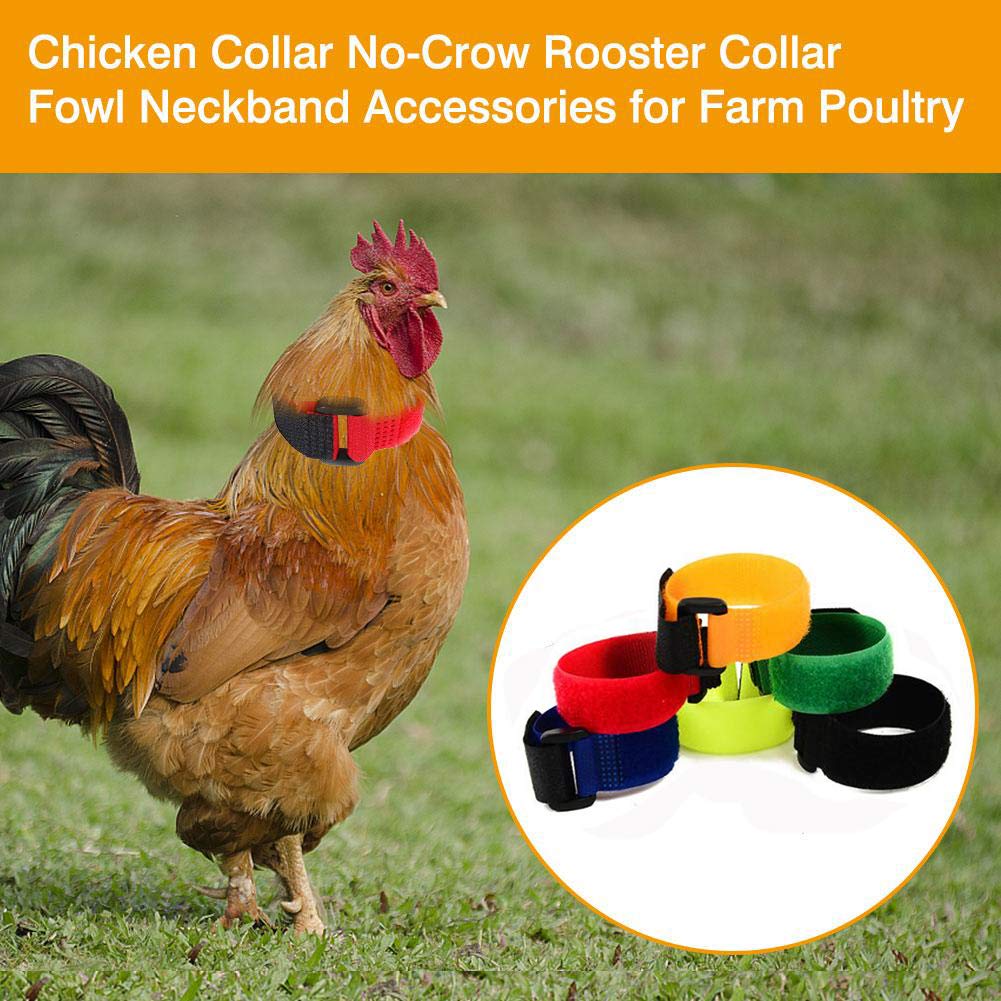 Upgrade Anti Crow Rooster Collar, Chicken Neckband Noise Free, No Crow Rooster Collar,Anti Noise Nylon Neck Belt To Keep Roosters Quiet,6 Pieces
