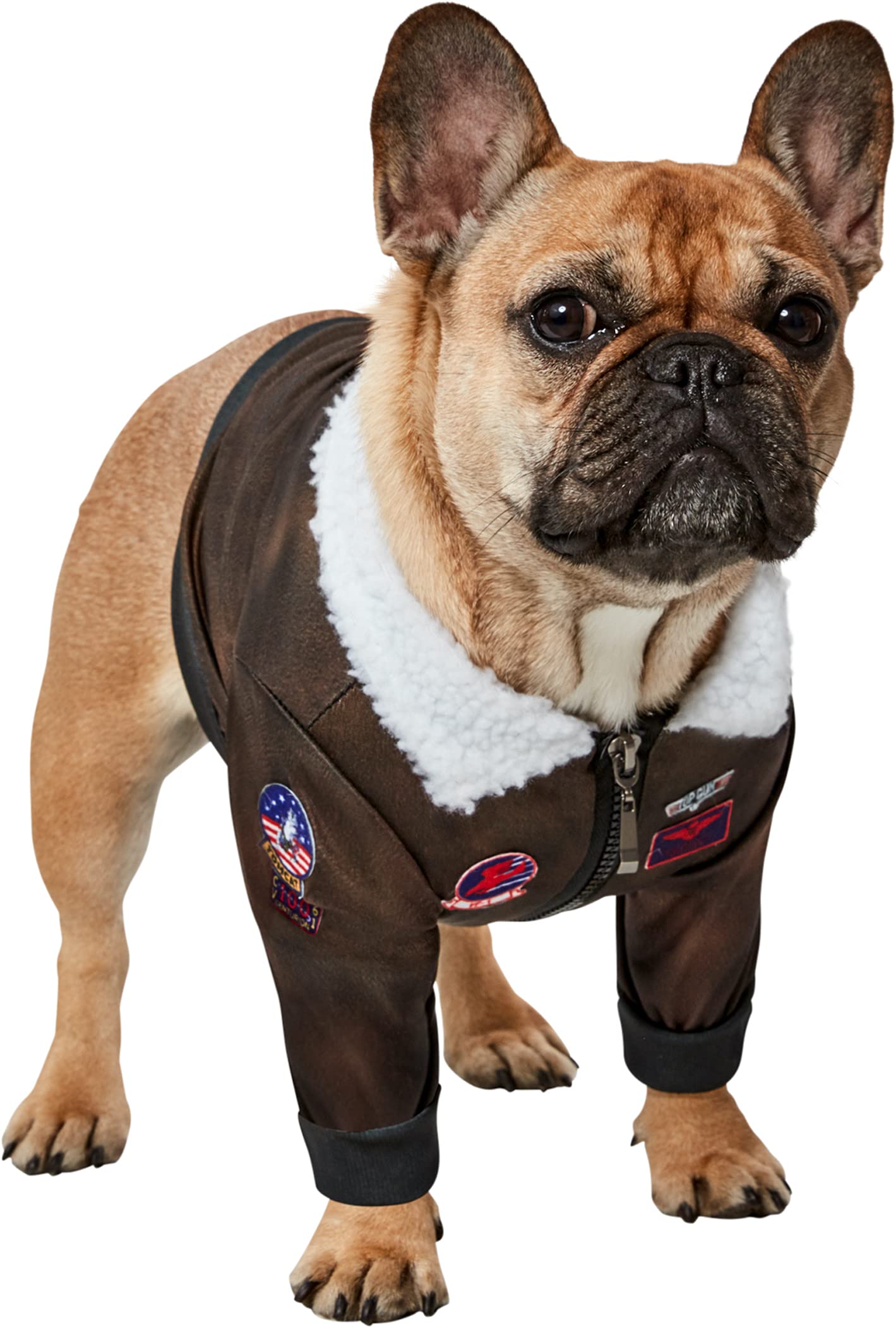 Rubies Top Gun Classic Movie Pet Costume, X-Small For Themed Parties And Halloween