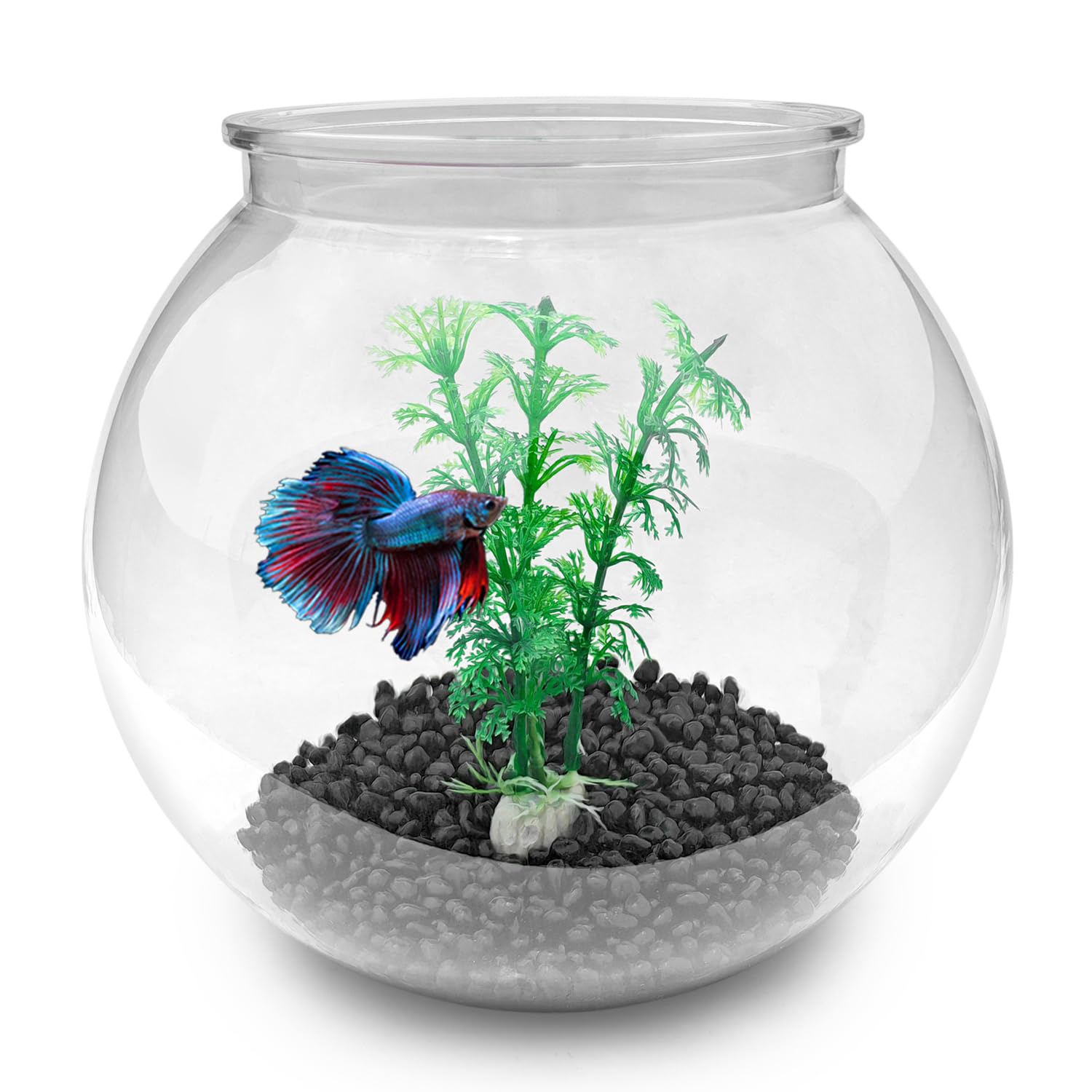 Newpol Mini Plastic Aquarium Fish Bowls (0.8Gallon / 3L)