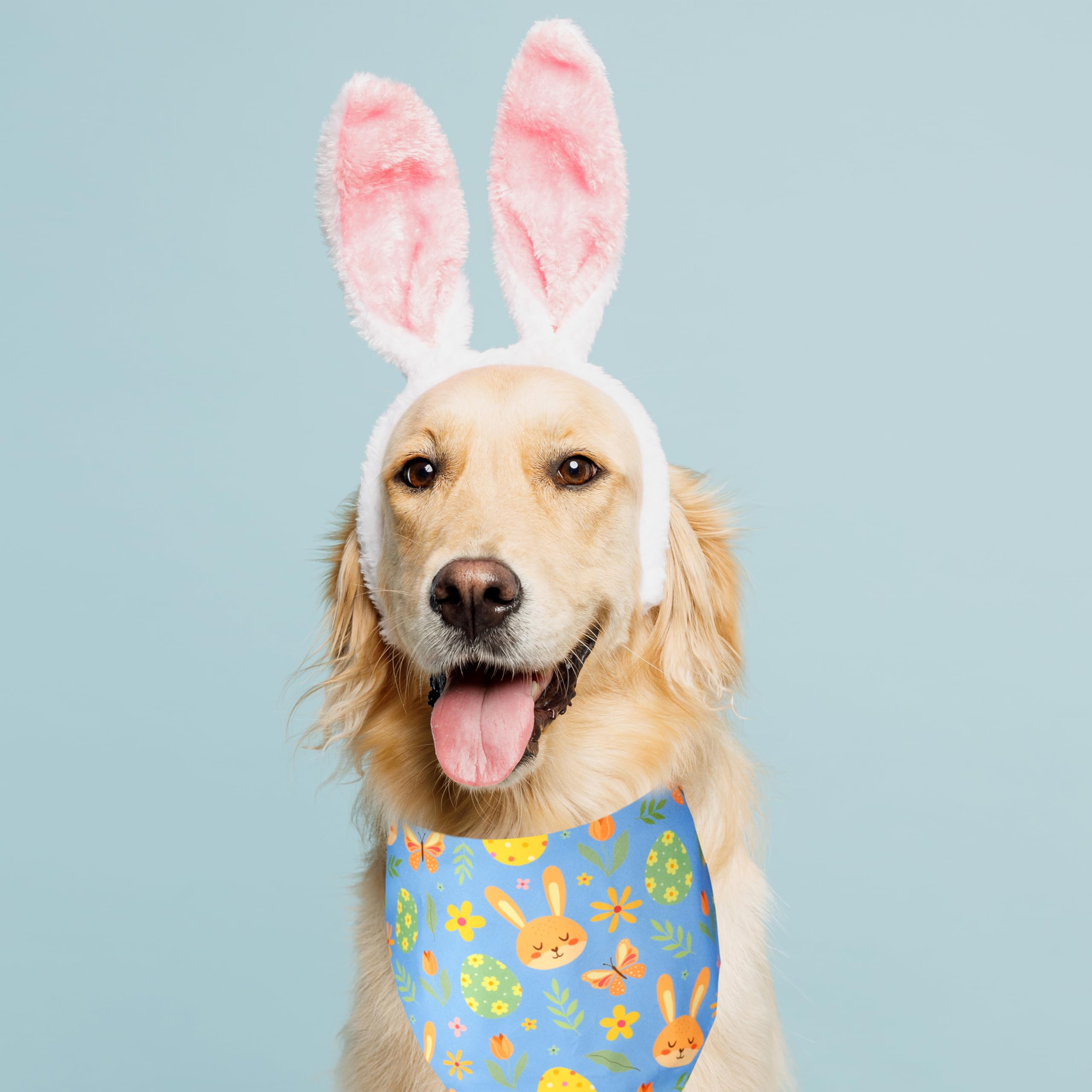 2 Pack Easter Dog Cat Bandana Holiday Bunny And Carrot Bandana For Spring And Easter Celebrations For Small Medium And Large Dog
