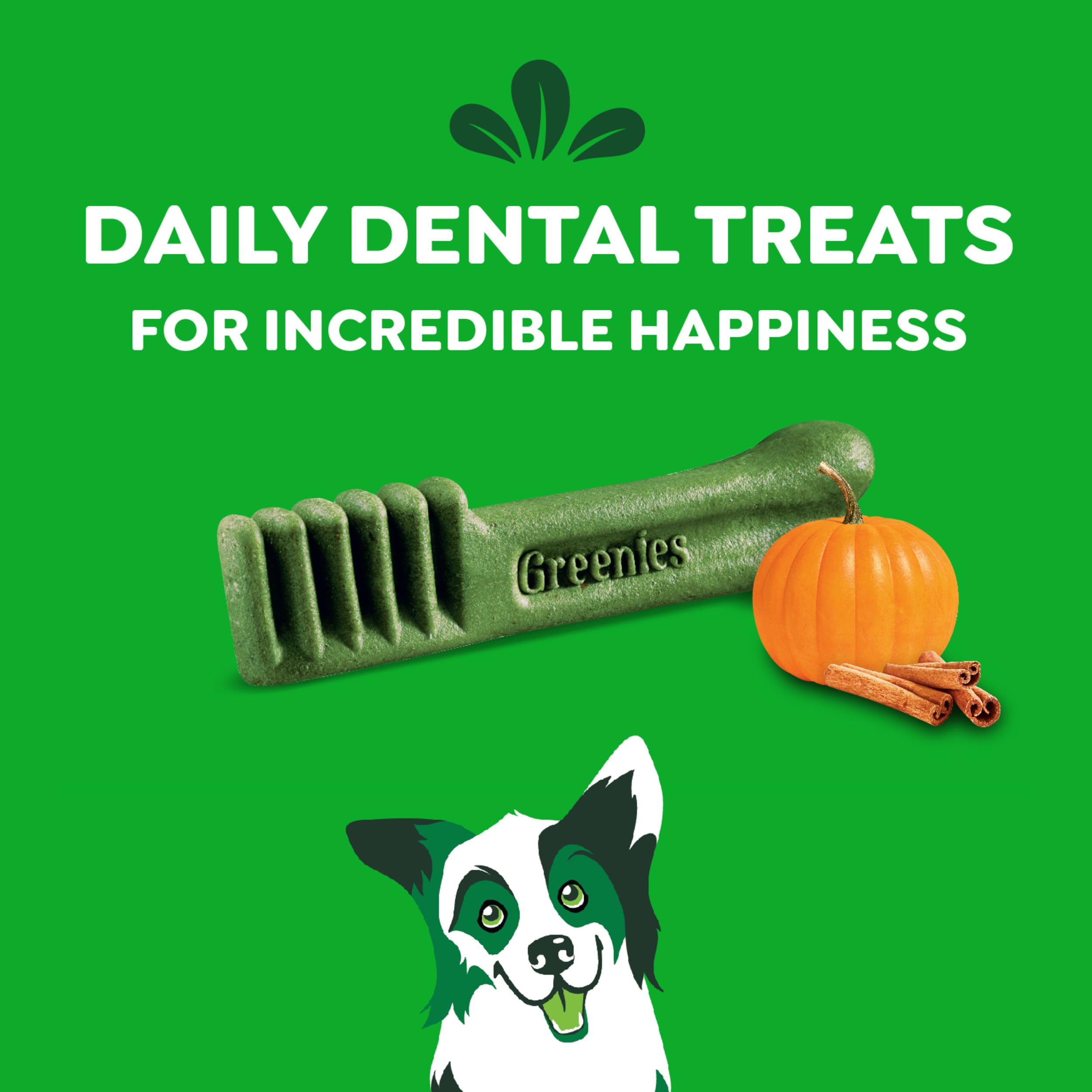 Greenies Petite Natural Dog Dental Care Chews Oral Health Dog Treats, Pumpkin Spice Flavor, 12 oz. (20 Treats)