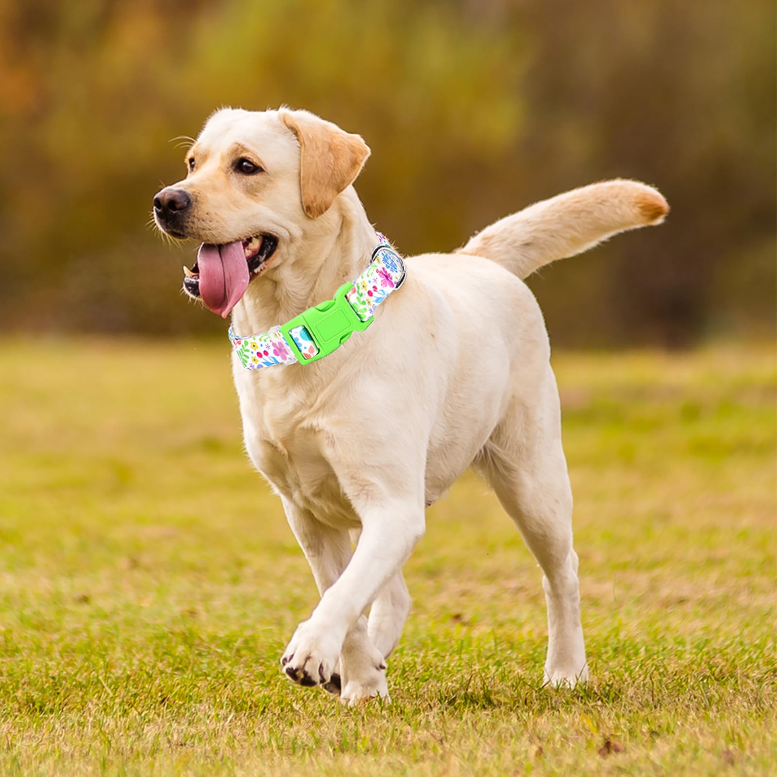 Female Dog Collar For Medium Dogs With Flowers For Girl Dogs, Soft Nylon Adjustable Cute Dog Collars(Flowers M)