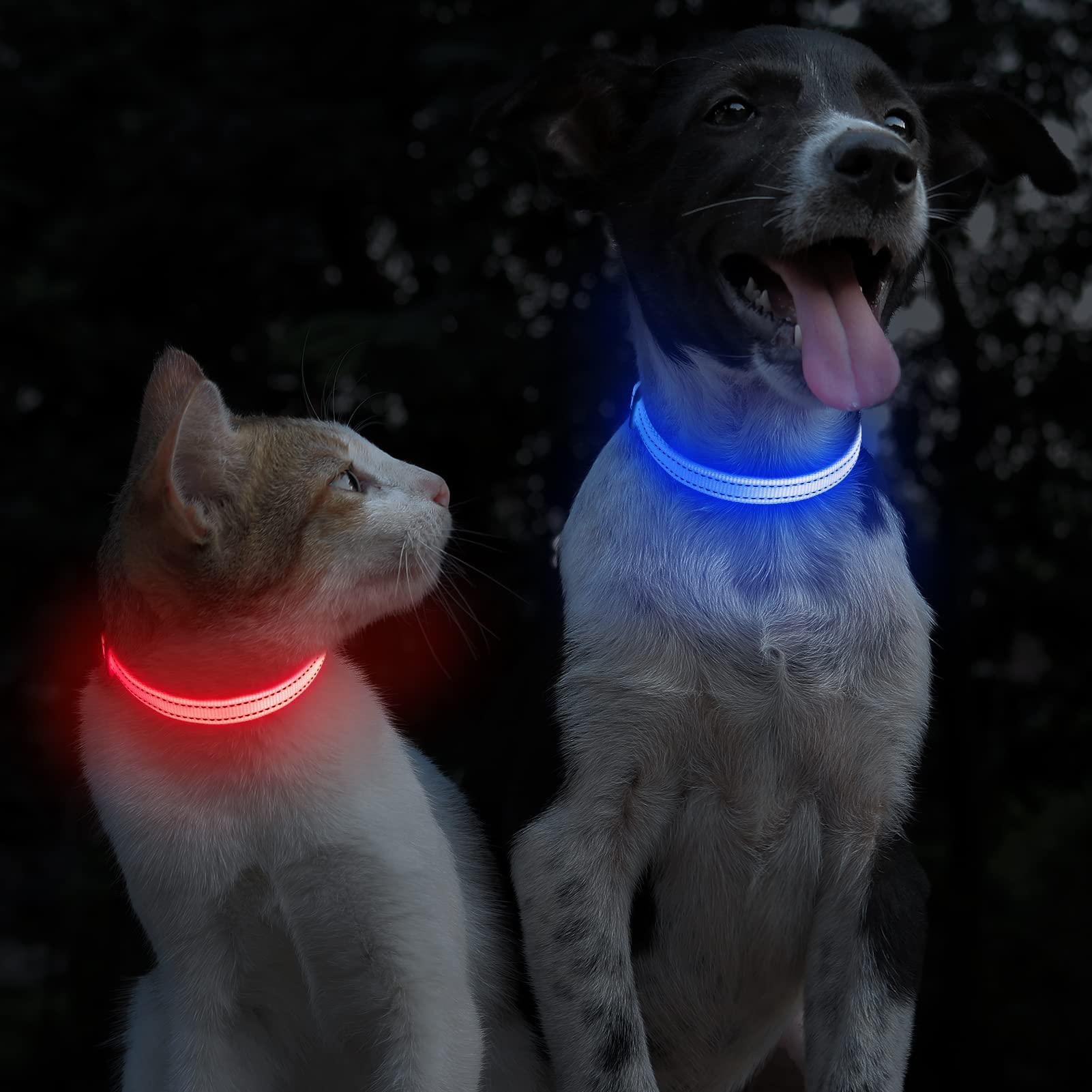 Domiglow Led Dog Collars Puppy Collar Usb Rechargeable Light Up Dog Collar Adjustable Reflective Pet Collars Keep Your Dogs And