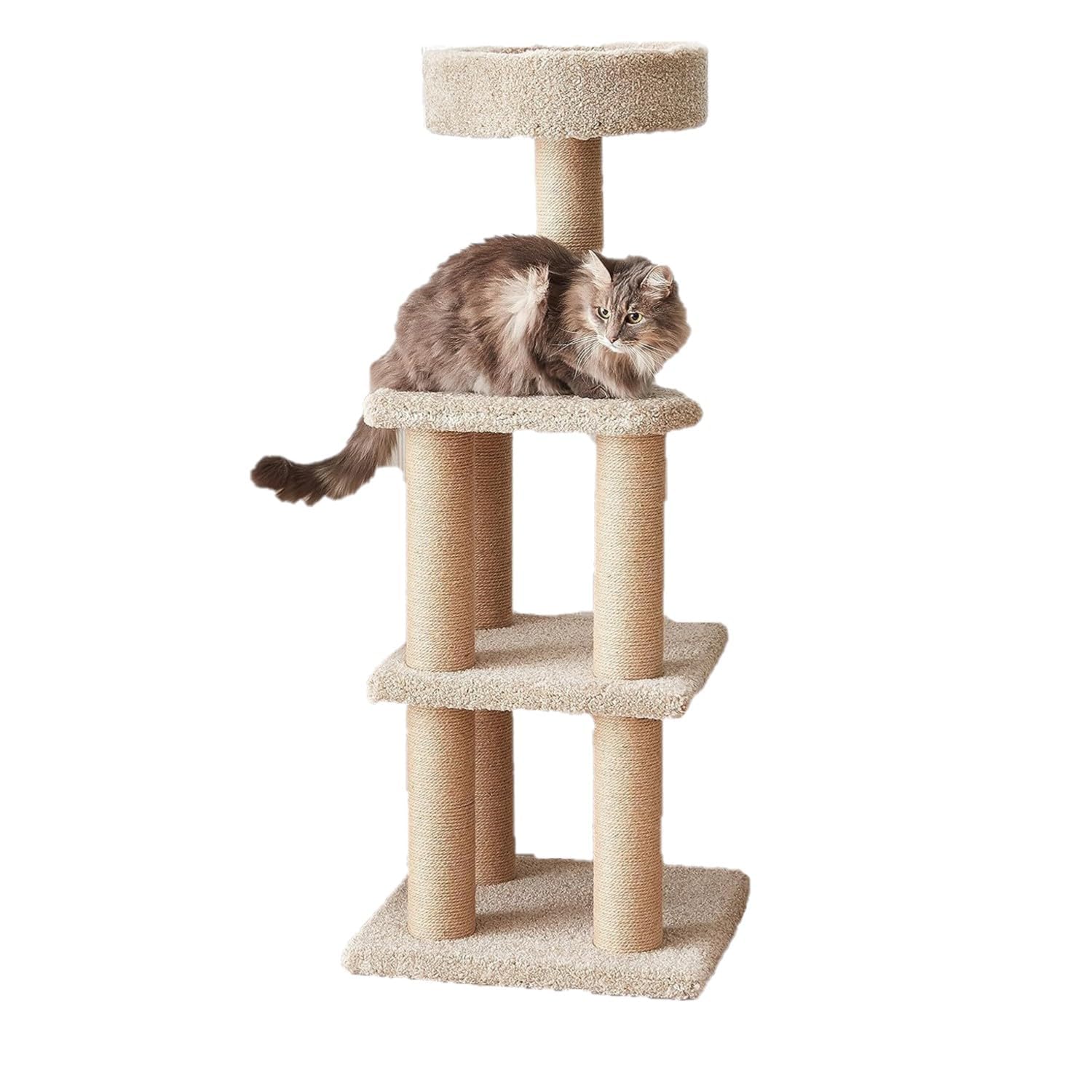 Amazon Basics Cat Tree - Indoor Cat & Kittens Multi-Level Climbing Activity Tower With Scratching Posts, Large (45.9''H) - Beige
