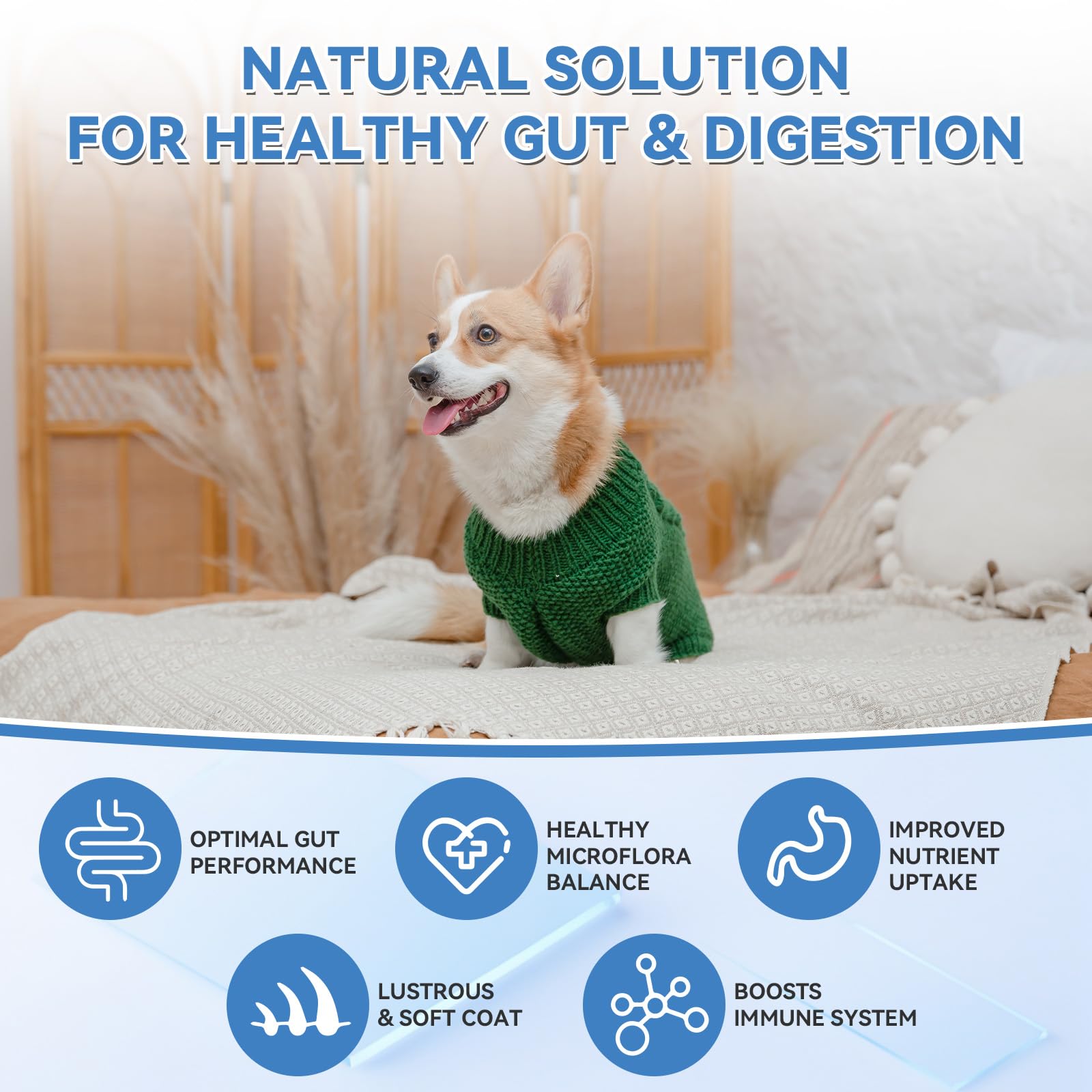 WEALLIN Probiotics for Dogs - Dog Probiotic Chews 200 Chews for Gut Health, Digestive Support & Itchy Skin Relief Pet Diarrhea G