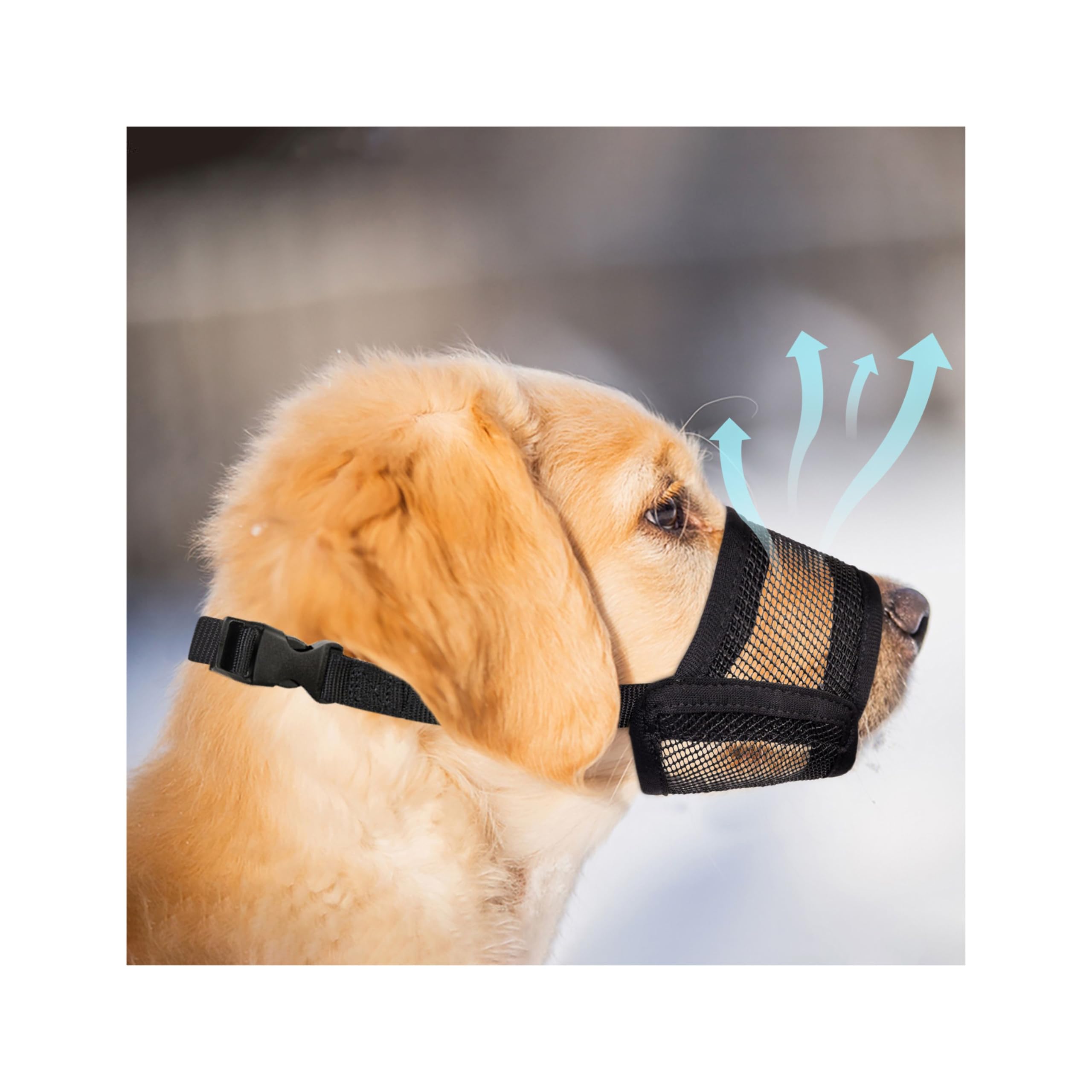 Evollax Dog Muzzle For Large Dogs - Air Mesh Muzzle For Large Sized Dog | Adjustable No Bark Dogs Muzzles For Scavenging Licking
