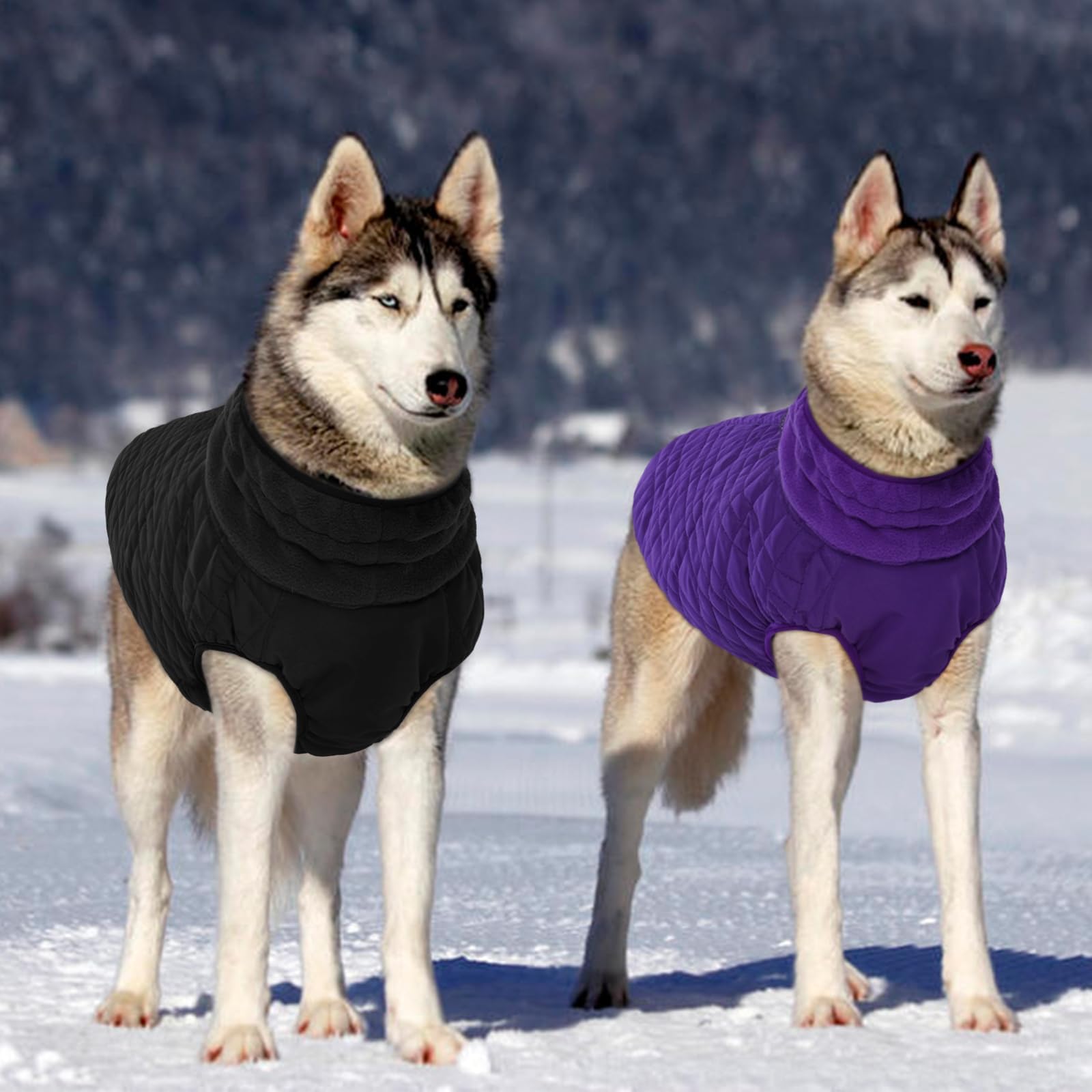 Kuoser Winter Dog Coat - Medium Dogs, Cold Weather Coats, Doggie Jacket & Snow Jacket For French Bulldog, Boston Terrier - Black