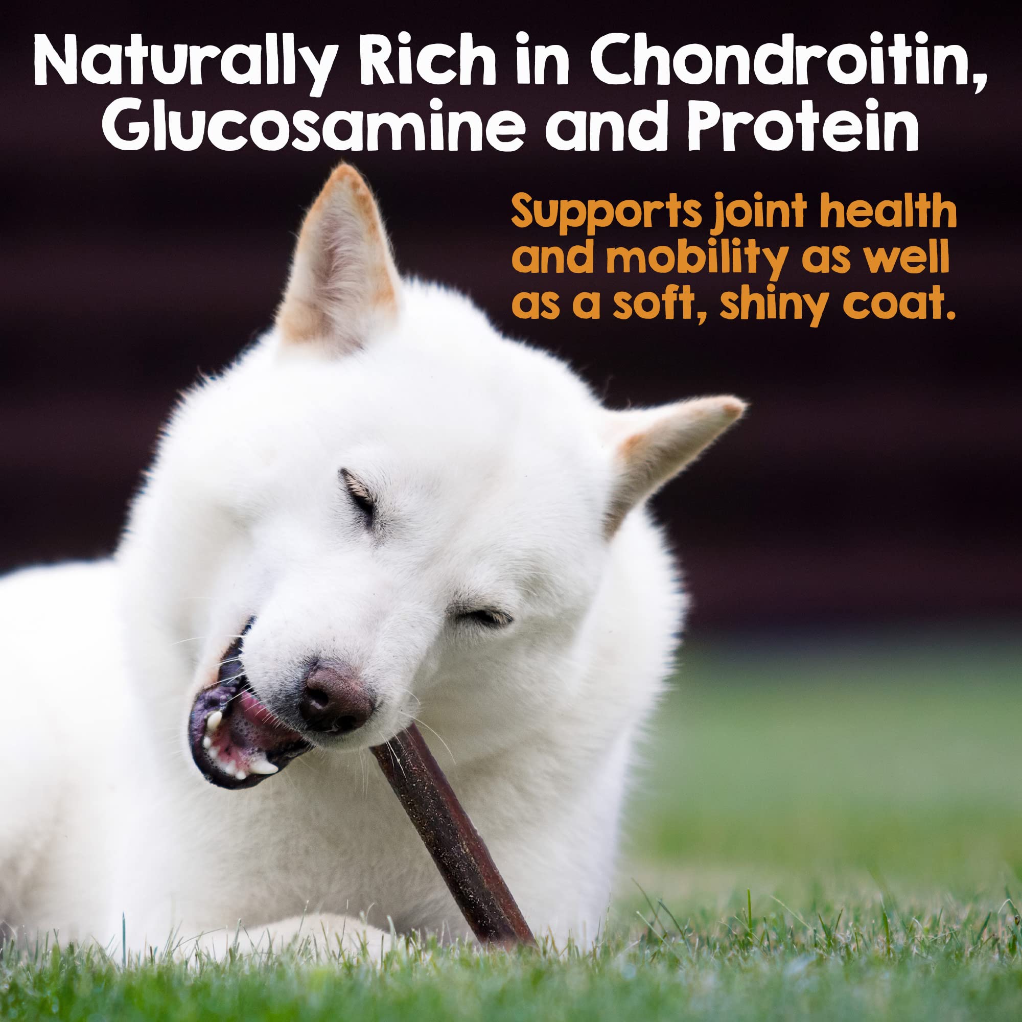Riley's Beef Collagen Sticks for Dogs, Long Lasting Chews, 12 Inch, 5 ct, Single Ingredient, No Rawhide Alternative