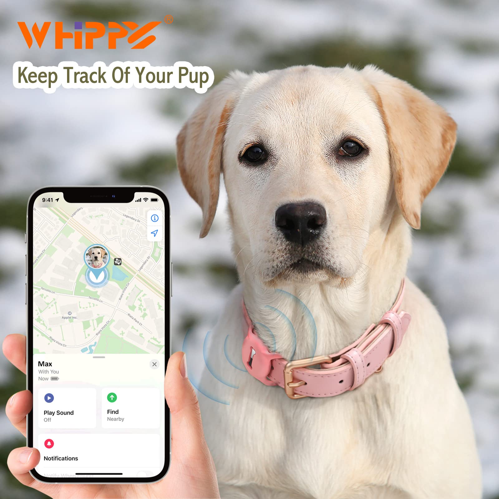 Whippy Airtag Leather Dog Collar Gps Tracker Air Tag Puppy Collar Adjustable Soft Leather Padded Dog Collar With Airtag Holder C