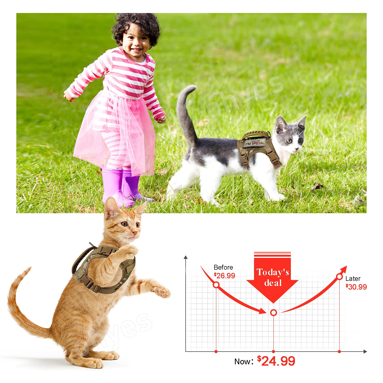 Tactical Cat Harness For Walking Escape Proof, Soft Mesh Adjustable Pet Vest Harness For Large Cat,Small Dog (L, Khaki)