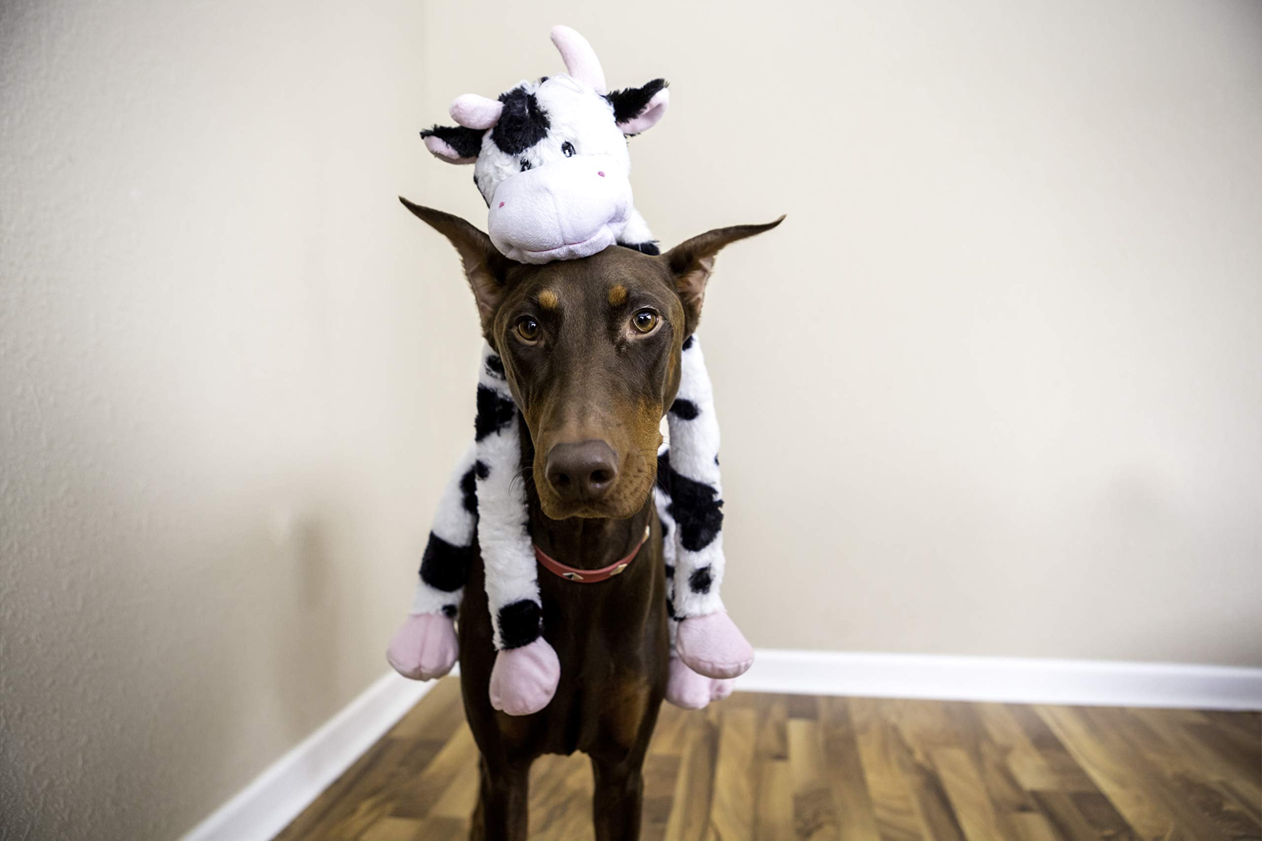 Multipet Swingin' Slevin 27'' Duck Plush Dog Toy