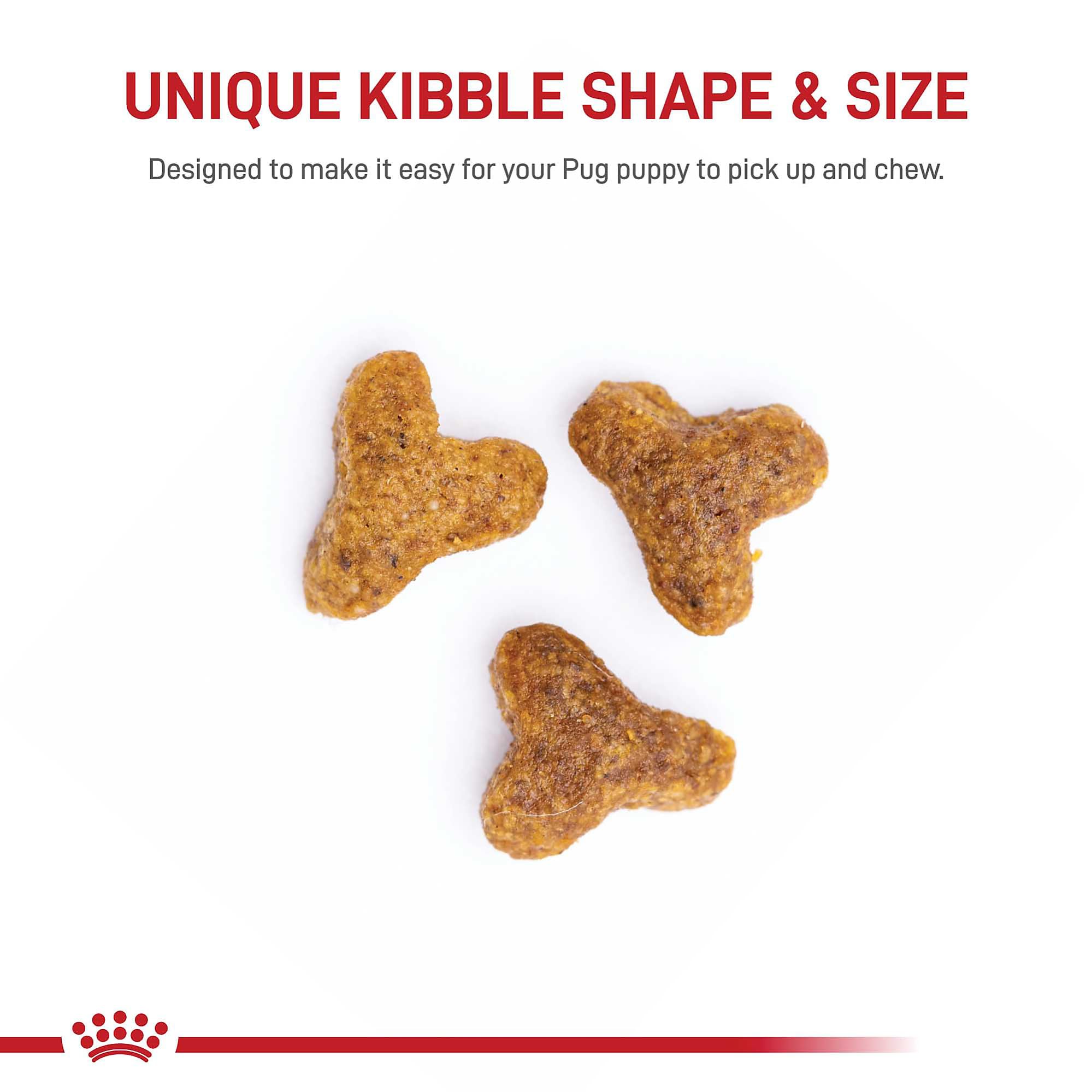 Royal Canin Breed Health Nutrition Pug Puppy Dry Dog Food, 2.5 lb