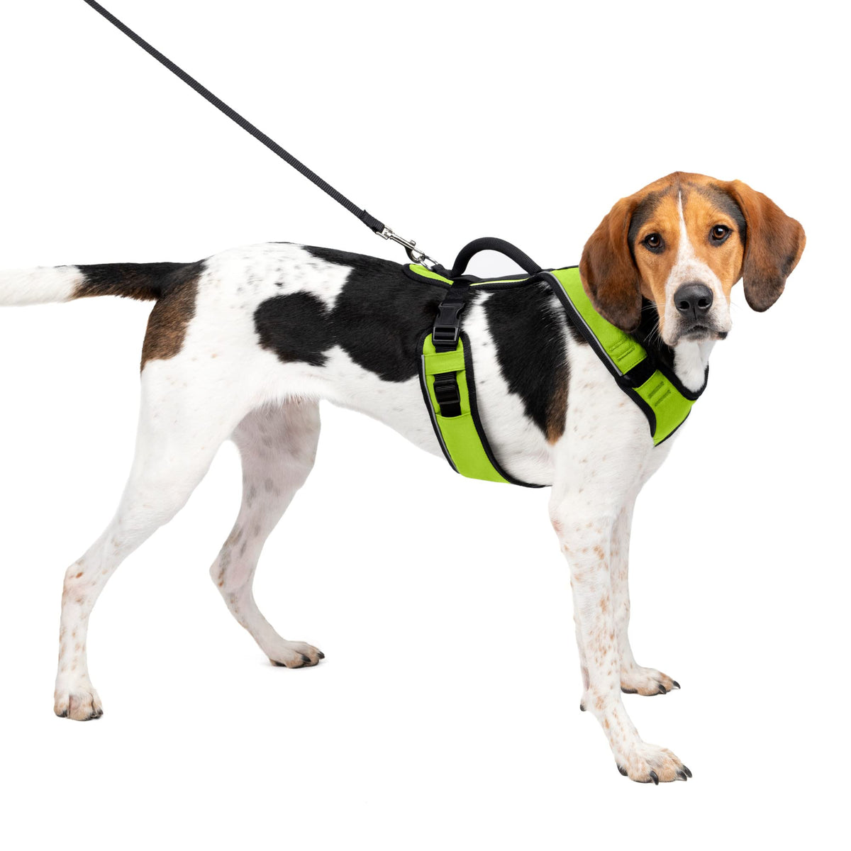 Petsafe Easysport Dog Harness – Adjustable, Padded Dog Harness With Control Handle And Reflective Piping – Large, Apple Green