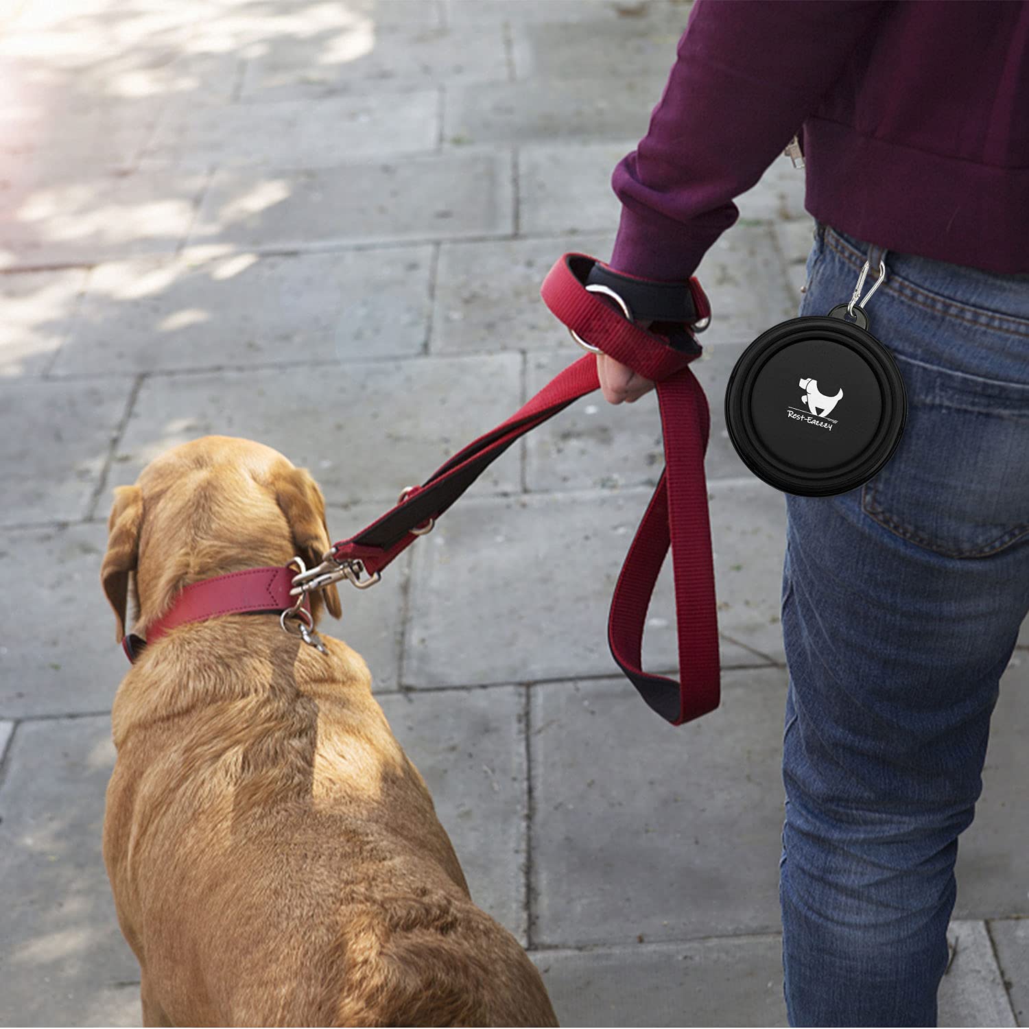 Collapsible Dog Bowls for Travel, 2-Pack Dog Portable Water Bowl for Dogs Cats Pet Foldable Feeding Watering Dish for Traveling