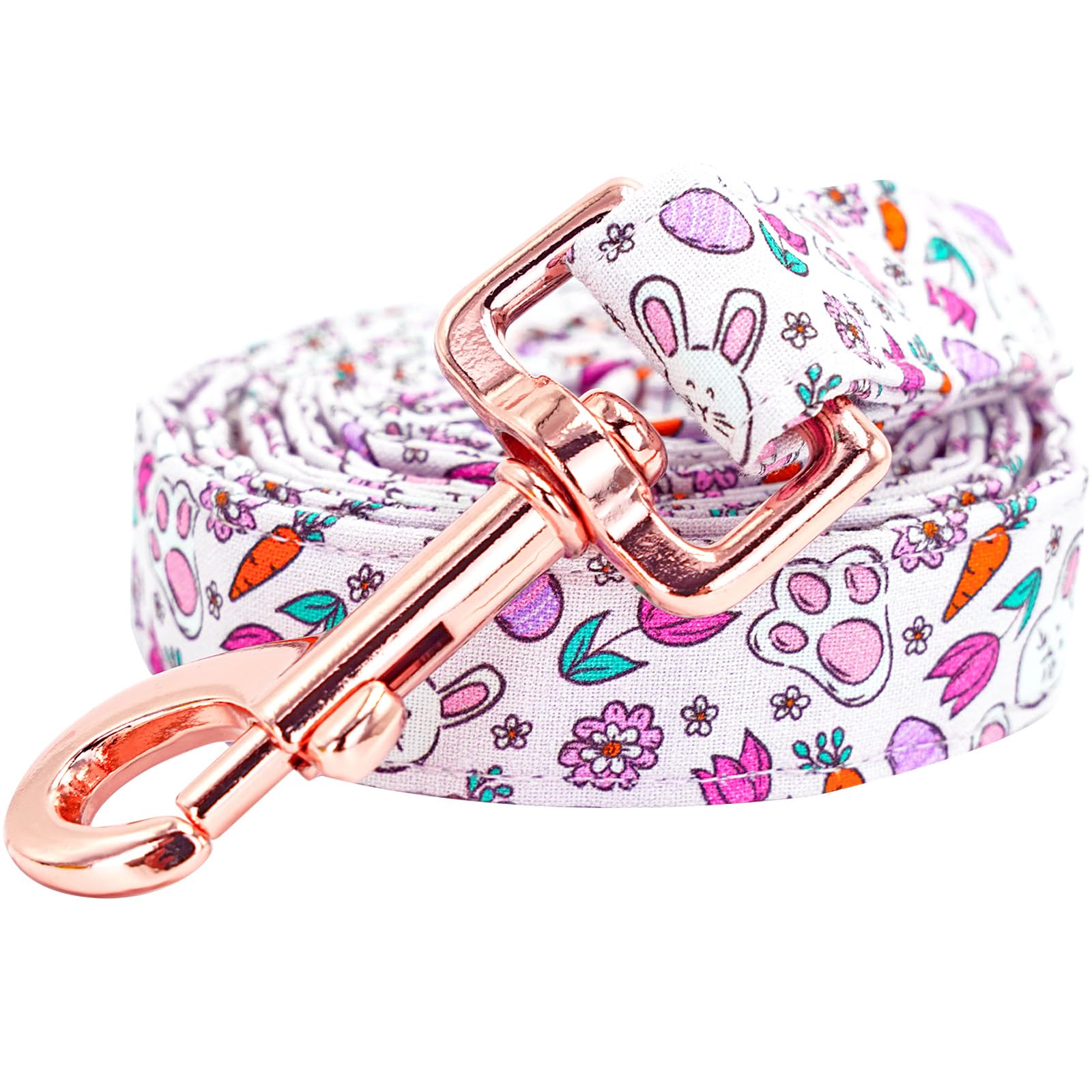 Lionheart Glory Easter Strong Dog Leash,Summer Spring Durable Dog Leashes With Soft Handle For Walking Training X-Small Male Or 