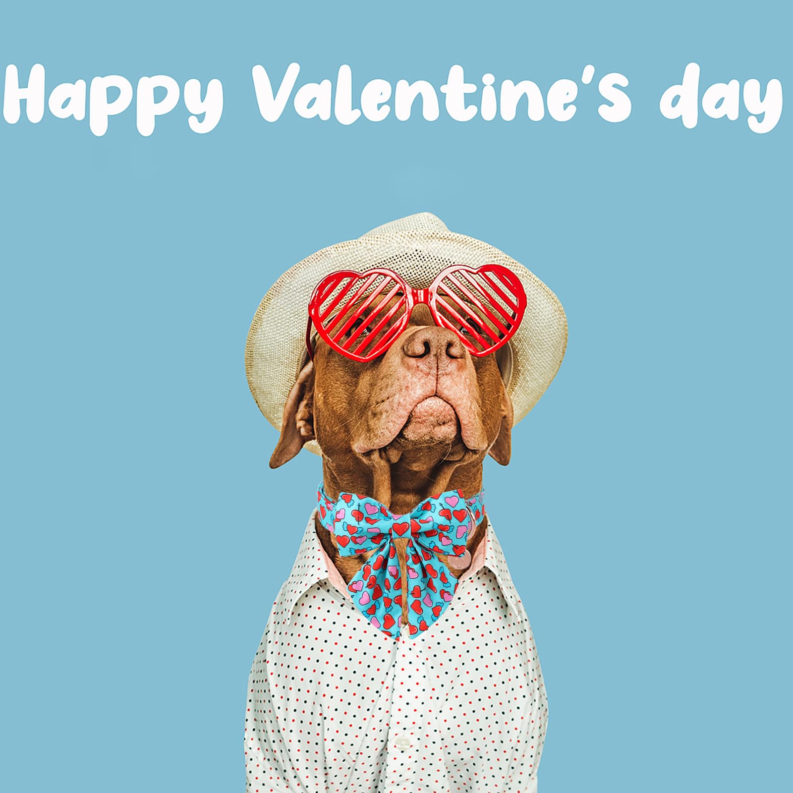 Dogwong Valentine Dog Collar With Bow, Blue Heart Dog Collar Durable Soft Cotton Pet Dog Collar Cute Heart Valentines Day Puppy