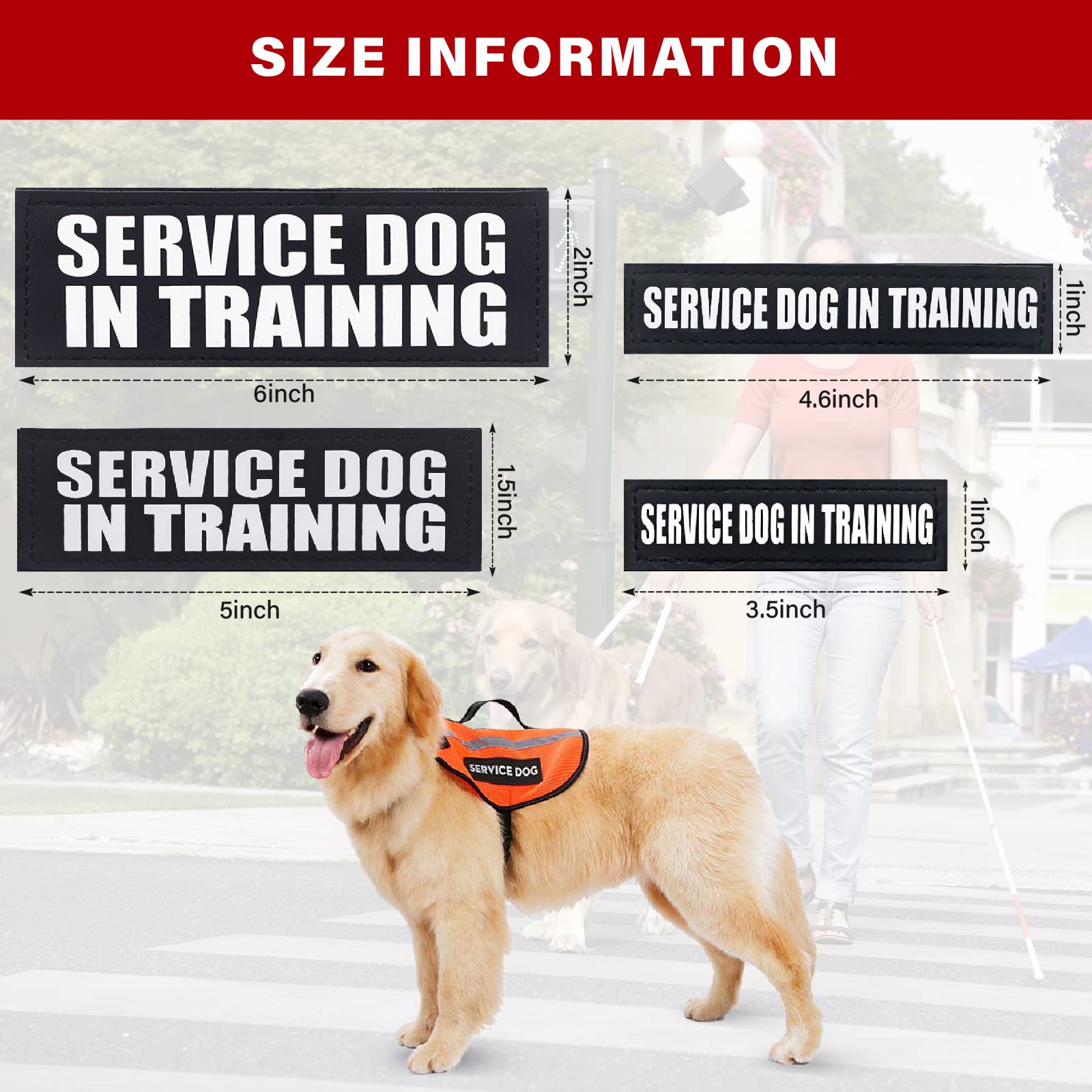 Service Dog Patches, 2Pack Black Dog Harness Patch With Hook Backing, Removable Vest Patches For Dogs, Service Dog In Training-S